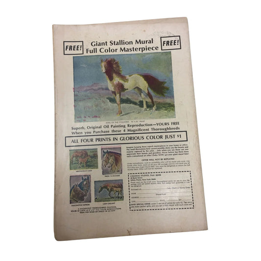 Drag N' Wheels Featuring Scott Jackson (48 Feb) - A+ Stuff - comic book - A+ Stuff