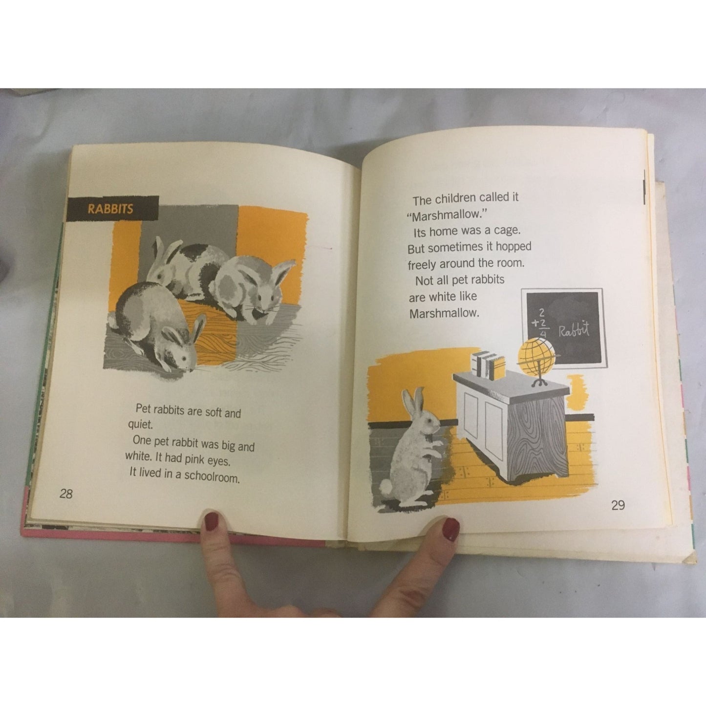 I Want to Know About... Pets, Toys at Work, and Space Vintage Childrens Book