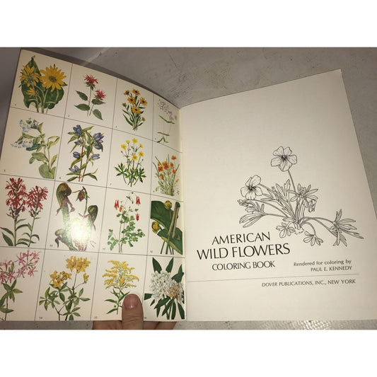 American Wild Flowers Dover Coloring Book- Paul E. Kennedy