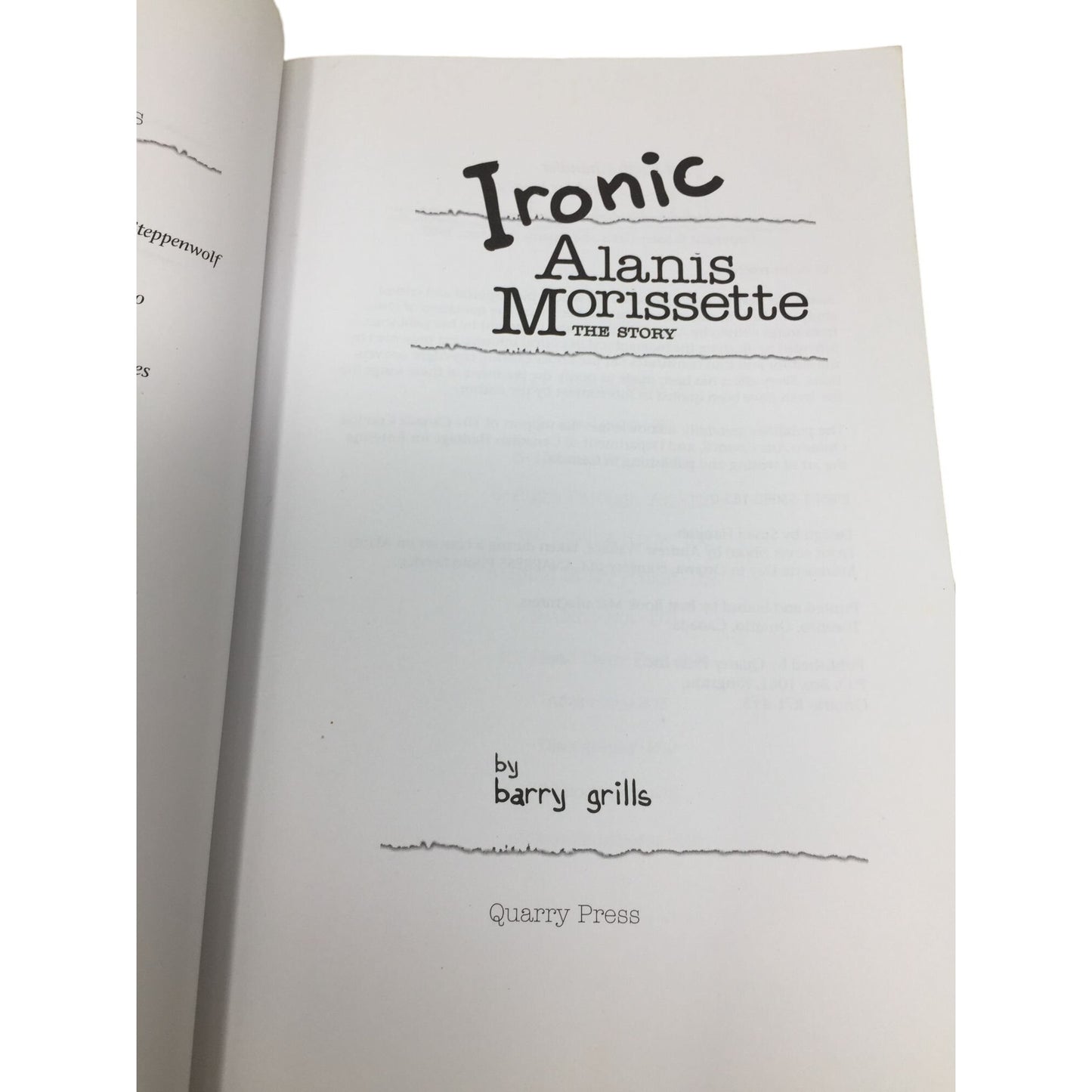 Ironic: Alanis Morissette the Story By Barry Grills Paperback Book