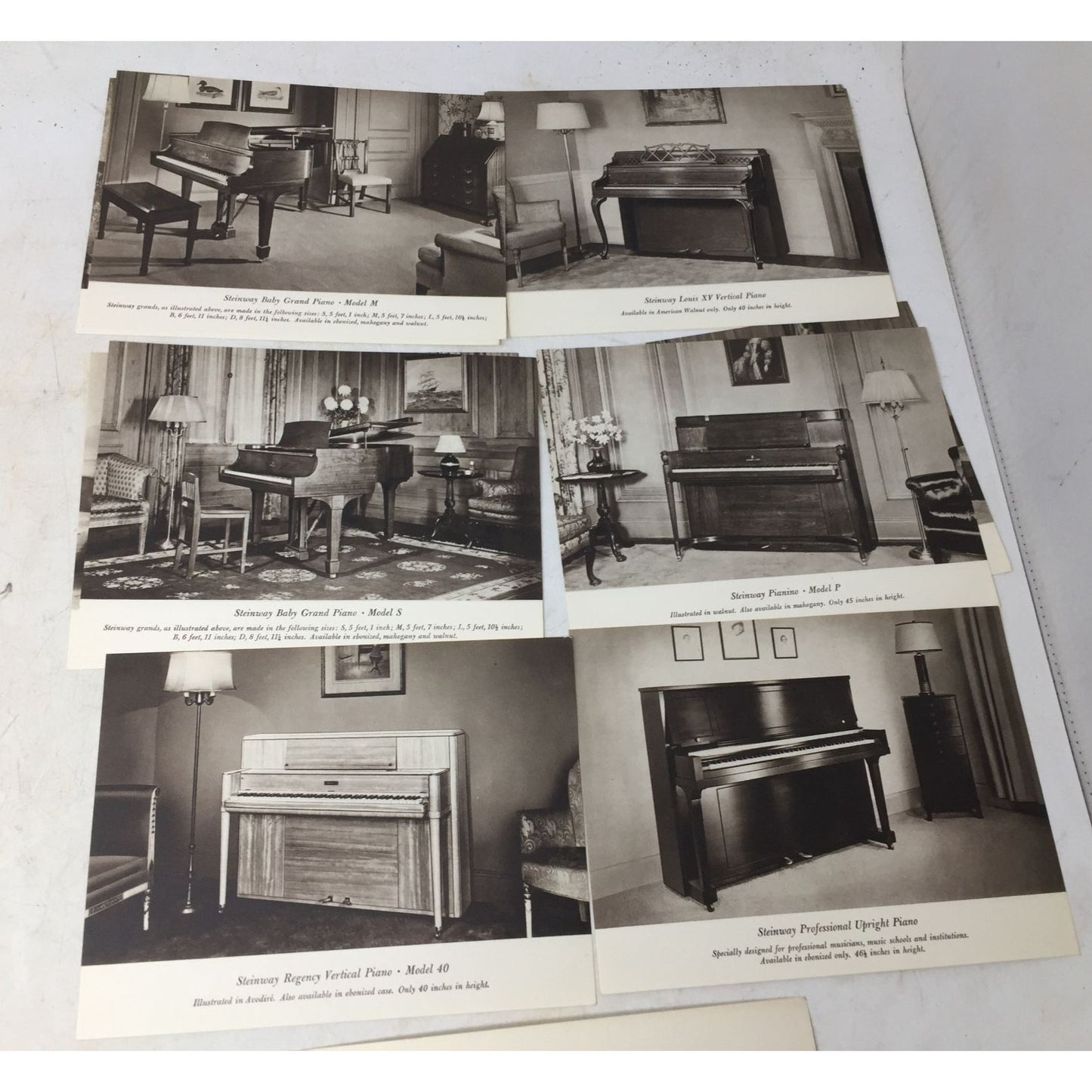 ''Steinway The Instrument of the Immortals''