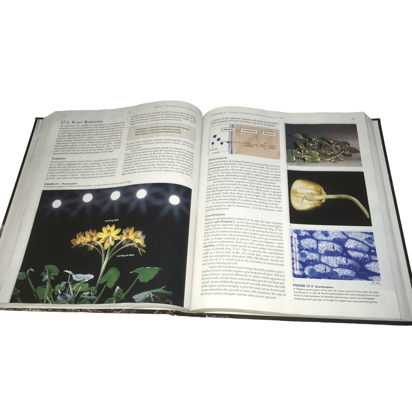 Biology 9th Edition Hardcover Textbook by Sylvia S. Mader