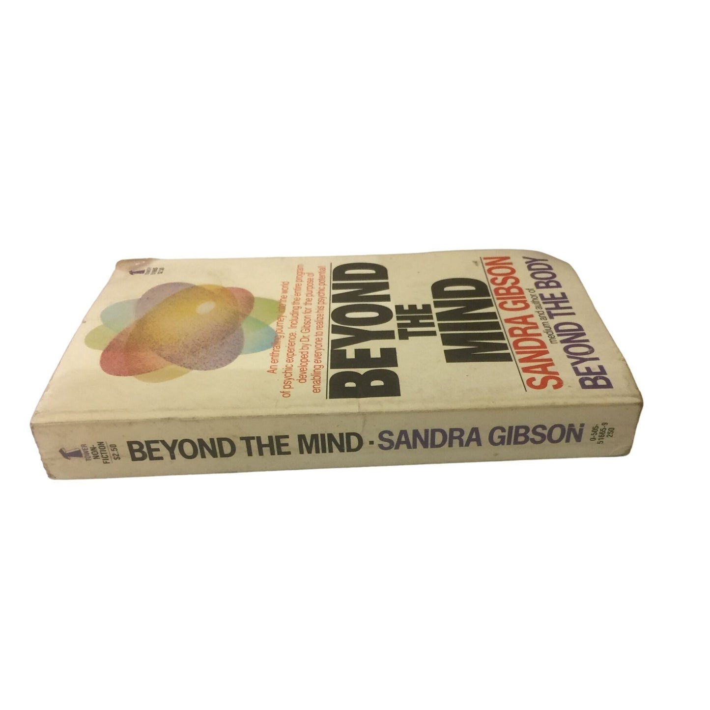 Beyond The Mind by Sandra Gibson Paperback book