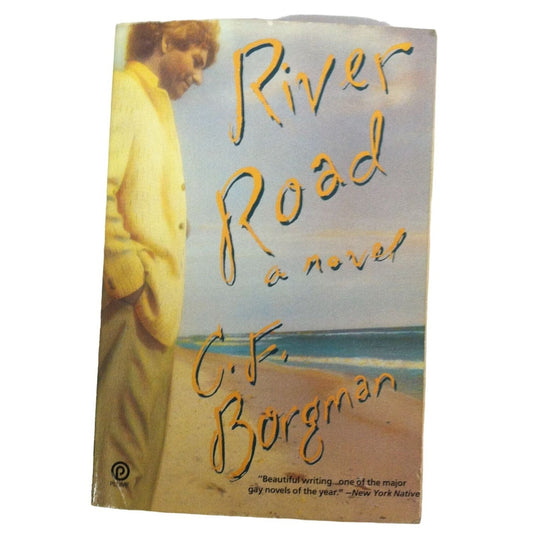 River Road A Novel- By C.F. Borgman Paperback Book