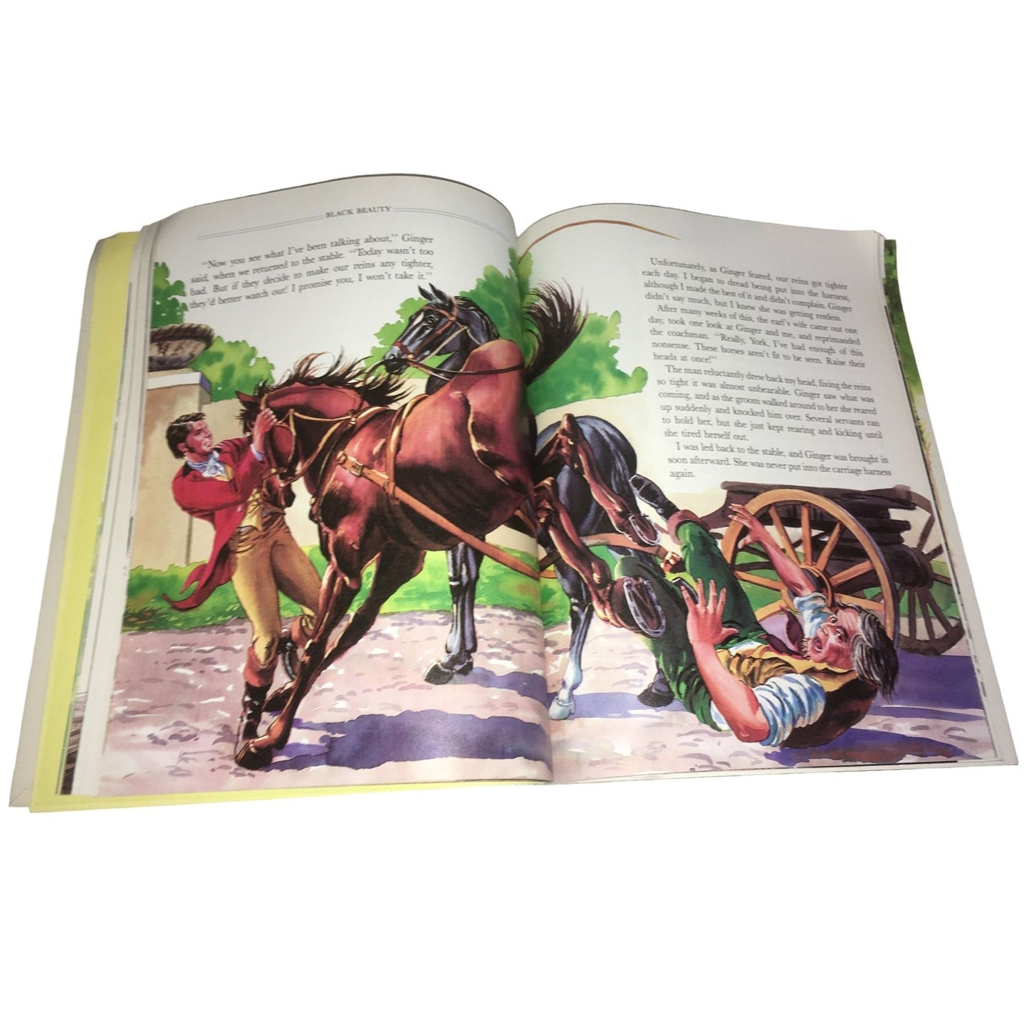 Black Beauty (Troll Illustrated Classics) Paperback book by Anna Sewell