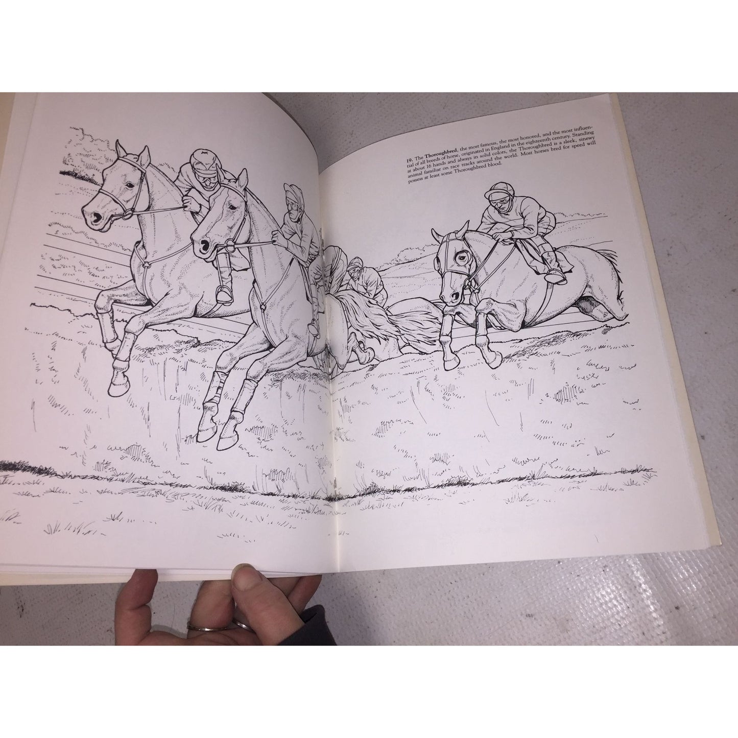 Horses of the World Coloring Book by John Green Dover Coloring Book