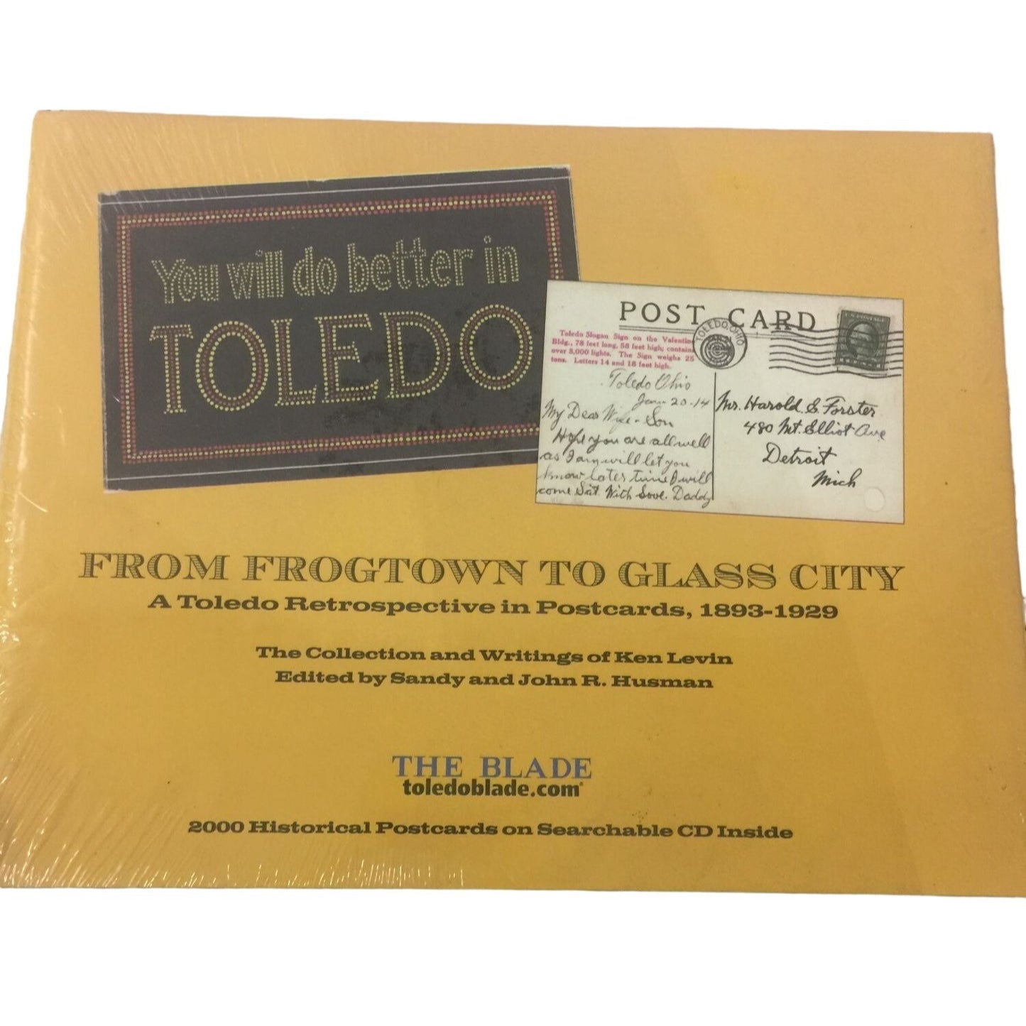 From Frogtown to Glass City A Toledo Retrospective in Postcards 1893-1929