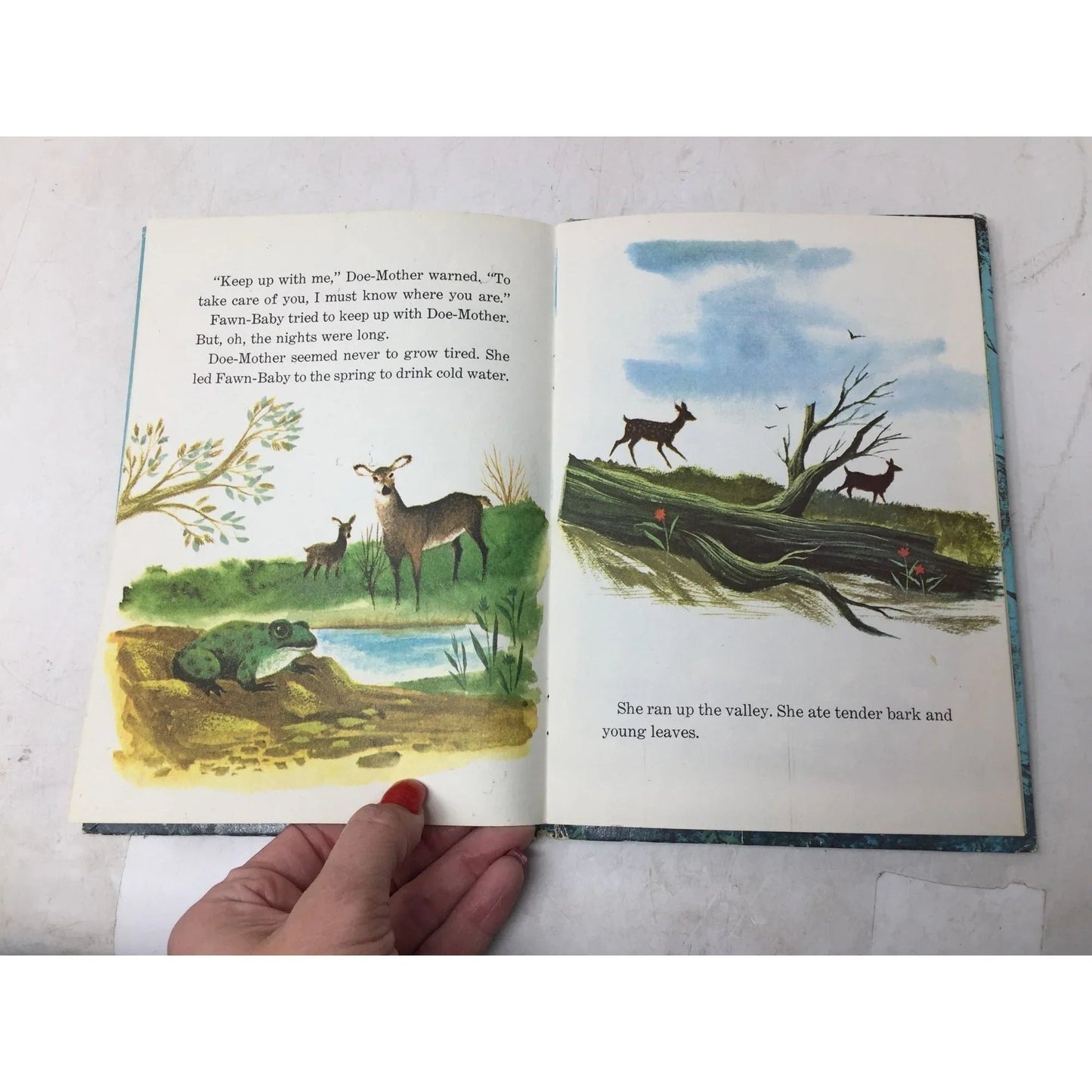 ''FAWN BABY'' HARDCOVER BOOK BY GLADYS BAKER BOND - A+ Stuff - Books - A+ Stuff