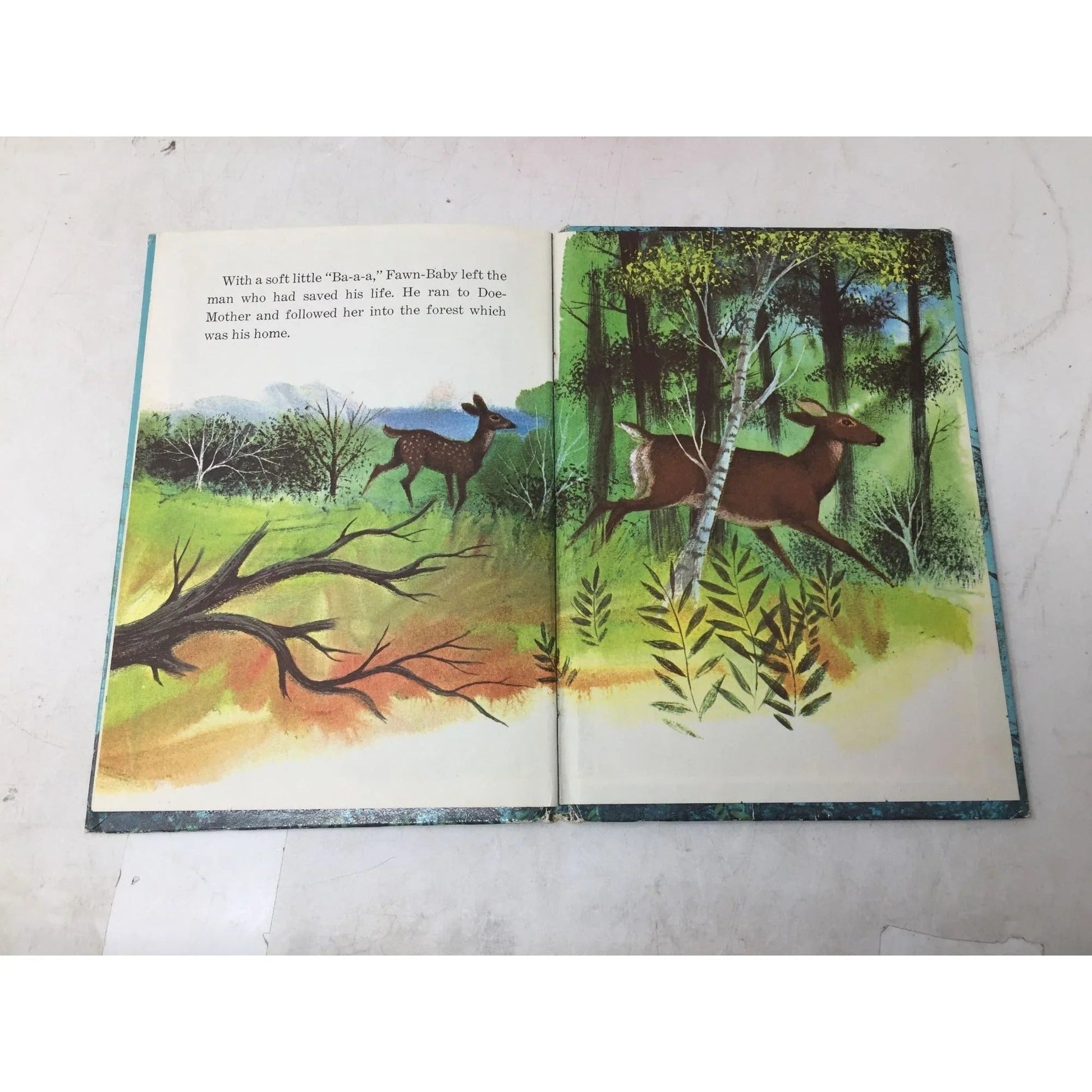 ''FAWN BABY'' HARDCOVER BOOK BY GLADYS BAKER BOND - A+ Stuff - Books - A+ Stuff