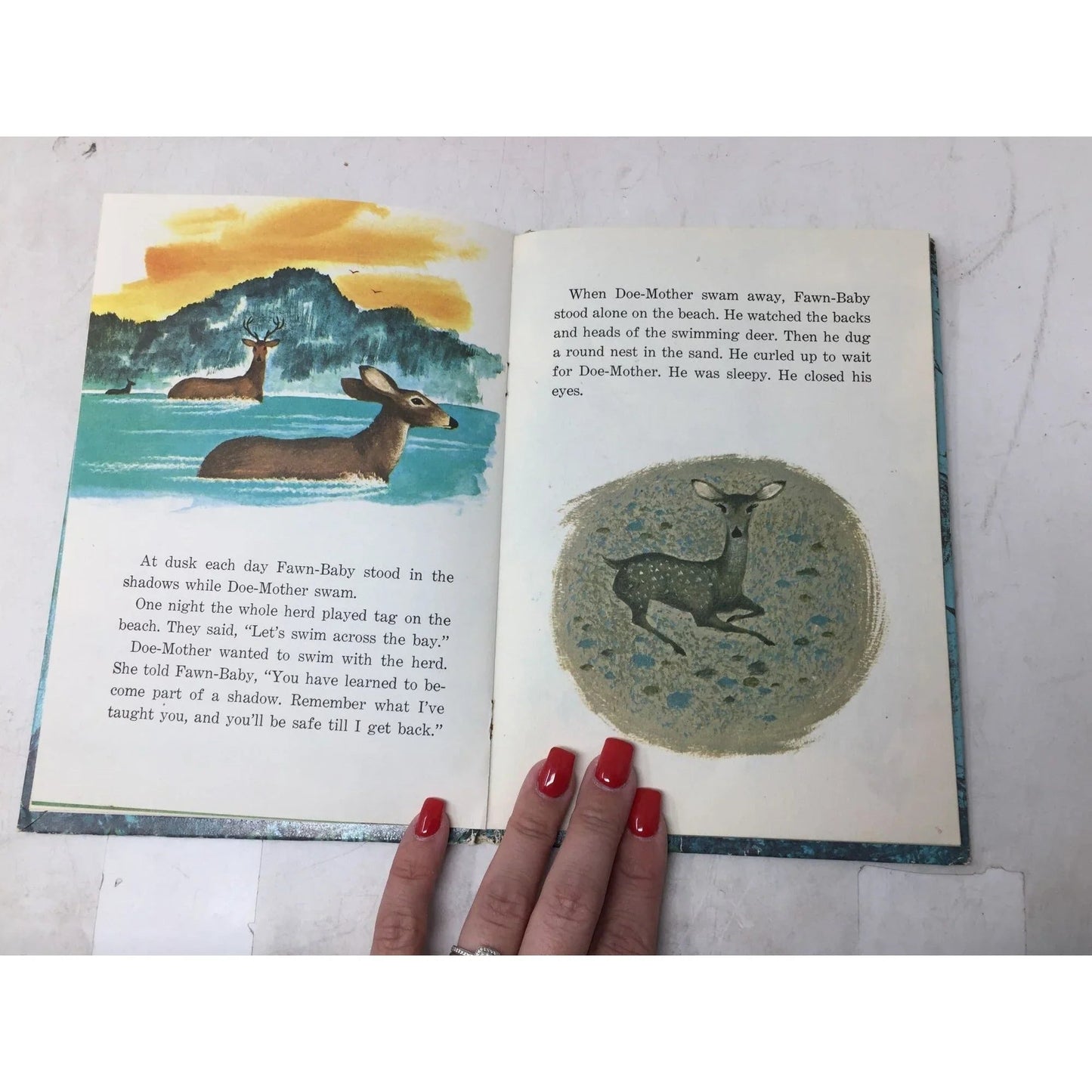 ''FAWN BABY'' HARDCOVER BOOK BY GLADYS BAKER BOND - A+ Stuff - Books - A+ Stuff