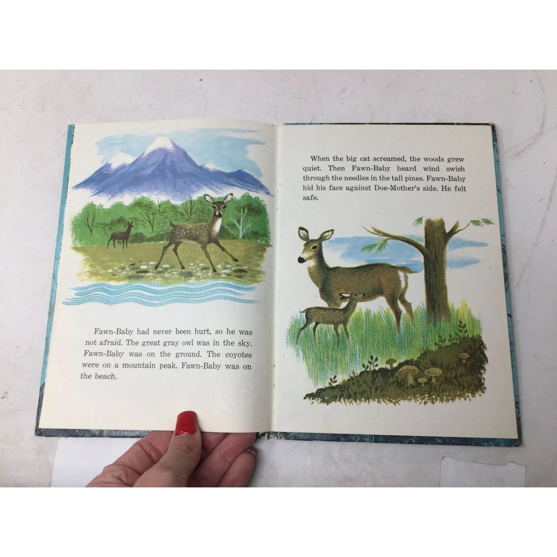 ''FAWN BABY'' HARDCOVER BOOK BY GLADYS BAKER BOND - A+ Stuff - Books - A+ Stuff