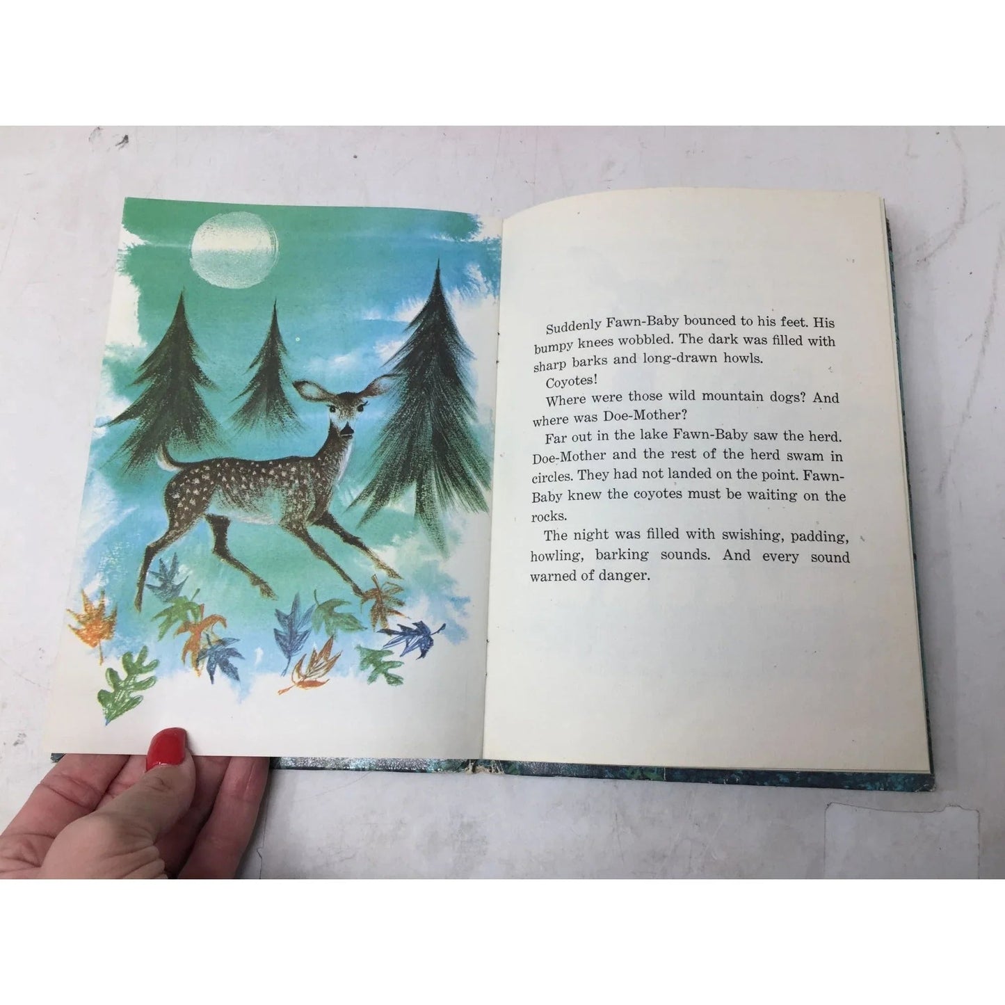 ''FAWN BABY'' HARDCOVER BOOK BY GLADYS BAKER BOND - A+ Stuff - Books - A+ Stuff