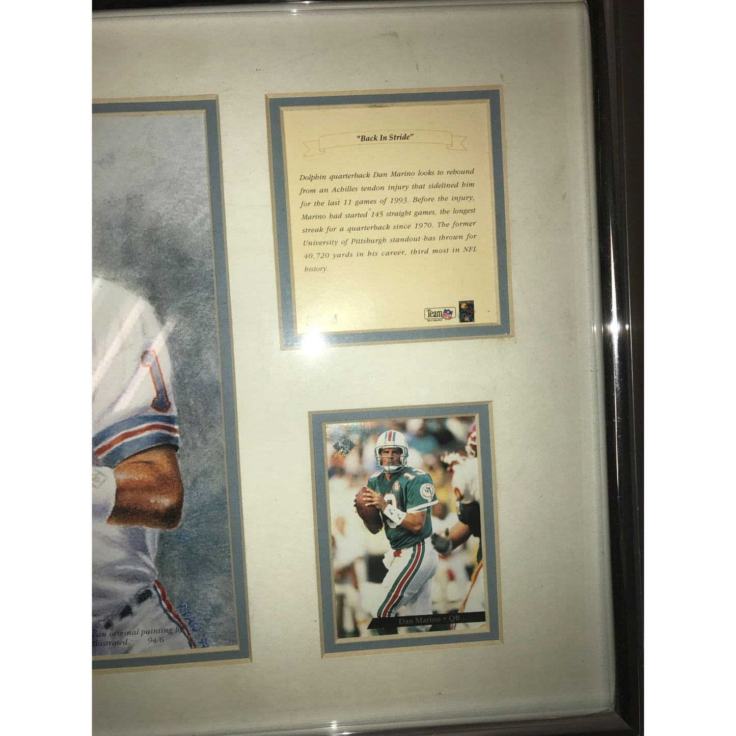 Dan Marino - BACK IN STRIDE - Team NFL Collectible collage limited edition