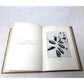 'Fruits of the Hawaiian Islands' by Gerrit Parmile Wilder - Gerrit Parmile Wilder - Antique Books - A+ Stuff
