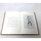 'Fruits of the Hawaiian Islands' by Gerrit Parmile Wilder - Gerrit Parmile Wilder - Antique Books - A+ Stuff