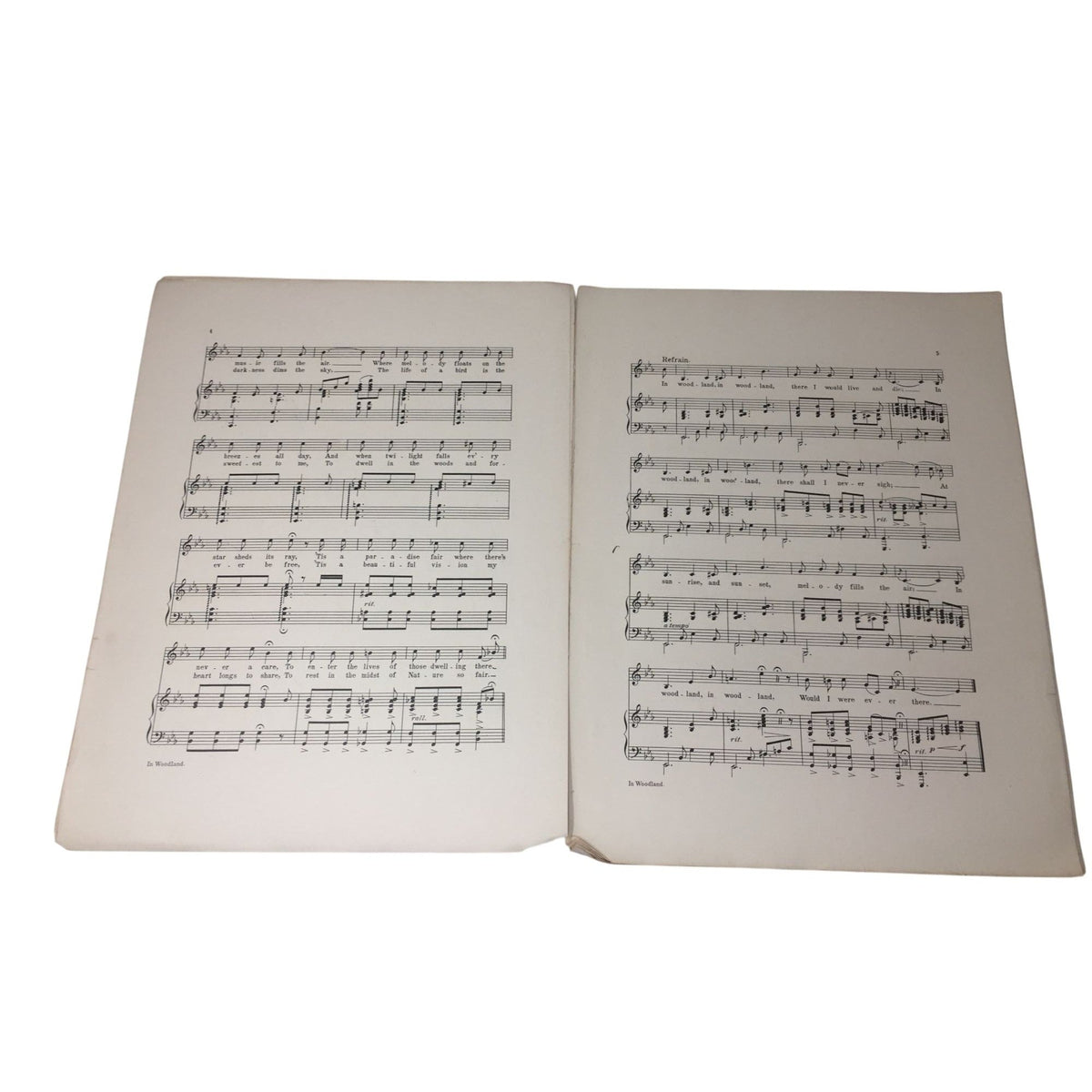 Vintage Sheet Music for the Song "'In Woodland Song" unbranded  A+ Stuff Sheet Music