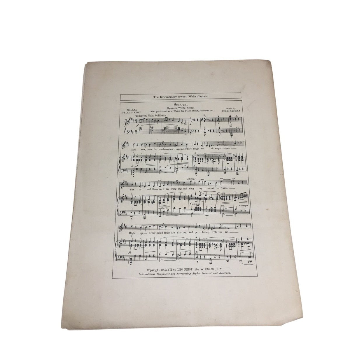 Vintage Sheet Music for the Song "'In Woodland Song" unbranded  A+ Stuff Sheet Music