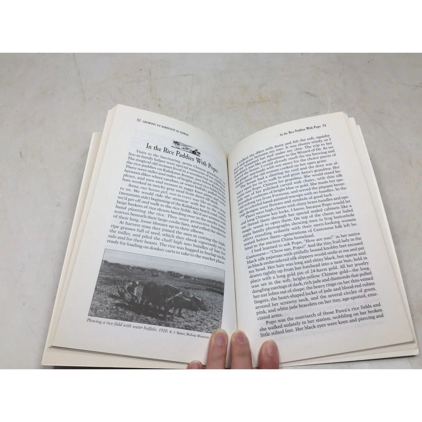 Growing Up Barefoot in Hawaiʻi by Peggy Hickok Hodge. - A+ Stuff - Books - A+ Stuff