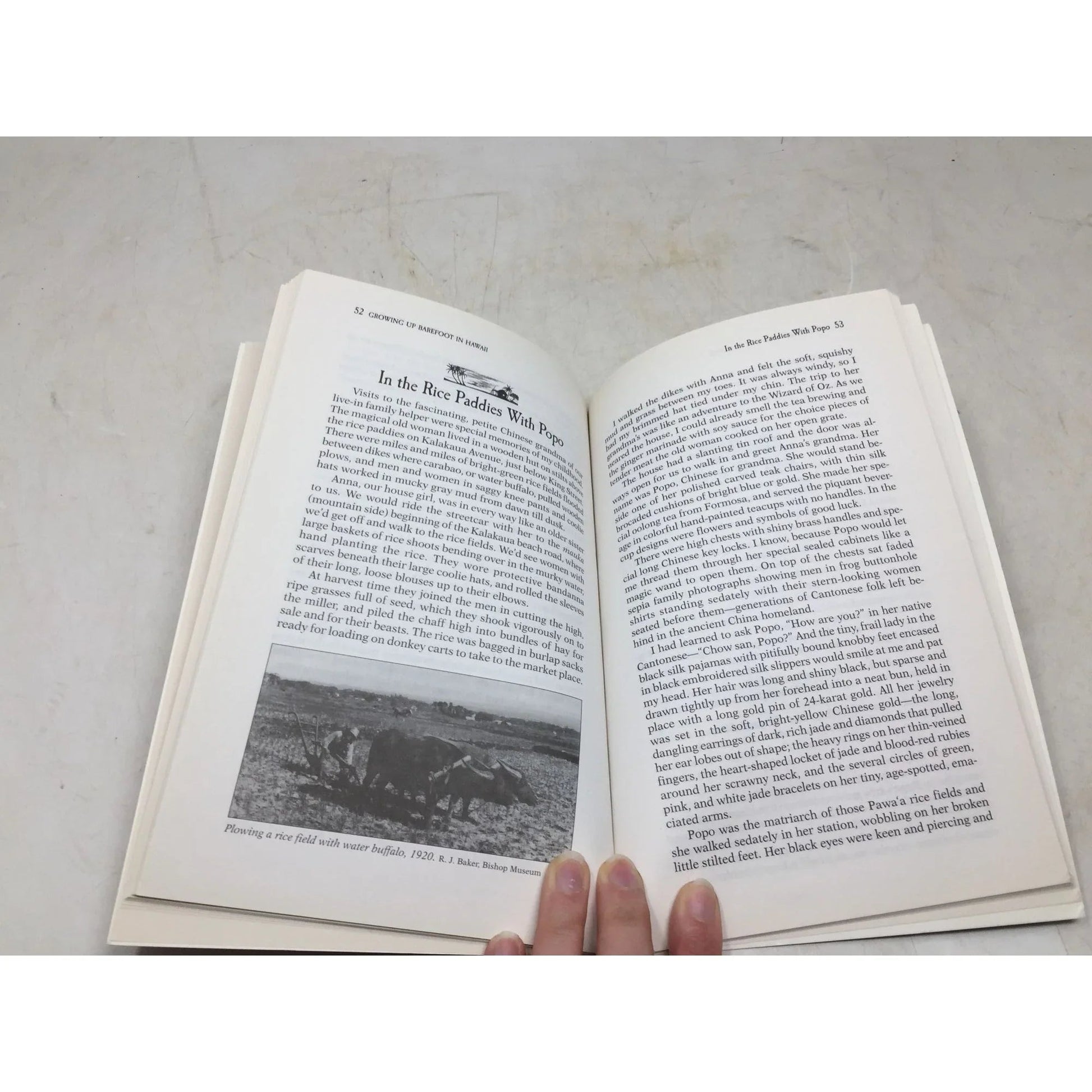 Growing Up Barefoot in Hawaiʻi by Peggy Hickok Hodge. - A+ Stuff - Books - A+ Stuff