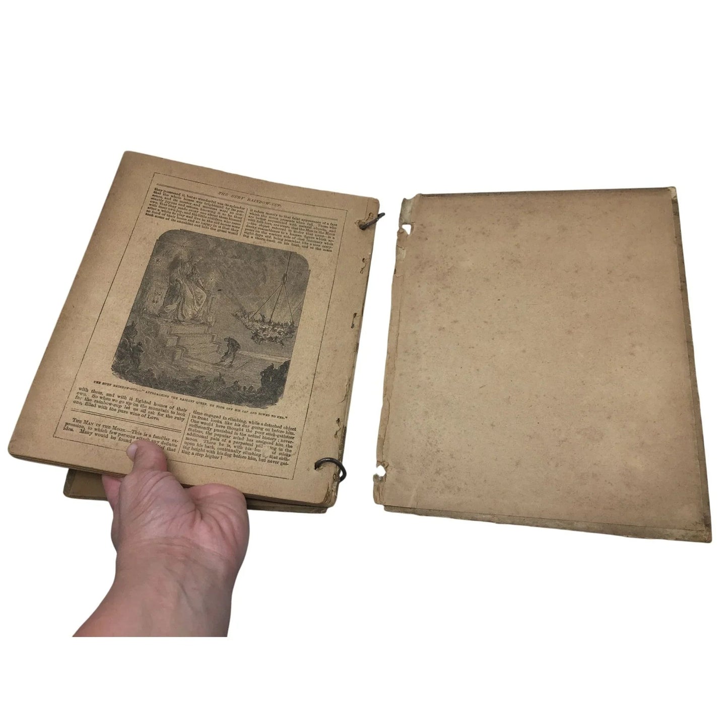 Happy Jack - Happy Jack's Book of Stories and Pictures - A+ Stuff - Books - A+ Stuff