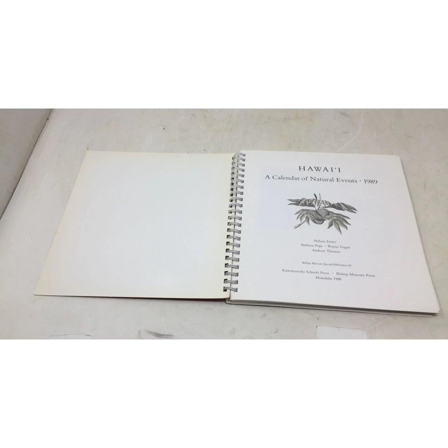 Hawaii: A Calendar of Natural Events from 1989 - A+ Stuff - Books - A+ Stuff