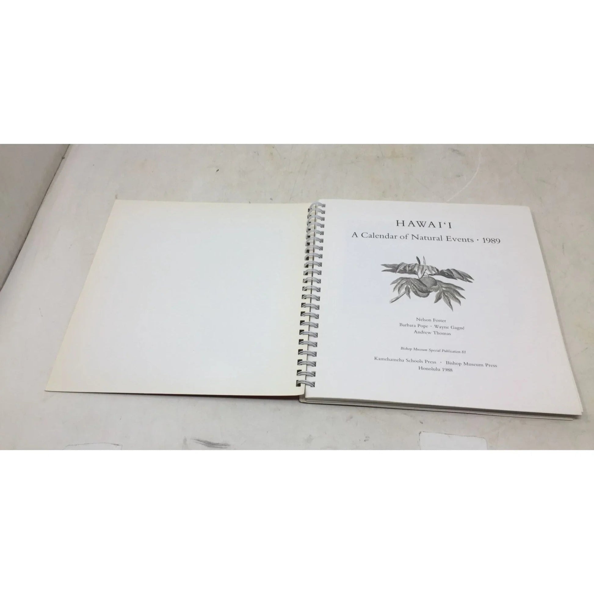 Hawaii: A Calendar of Natural Events from 1989 - A+ Stuff - Books - A+ Stuff