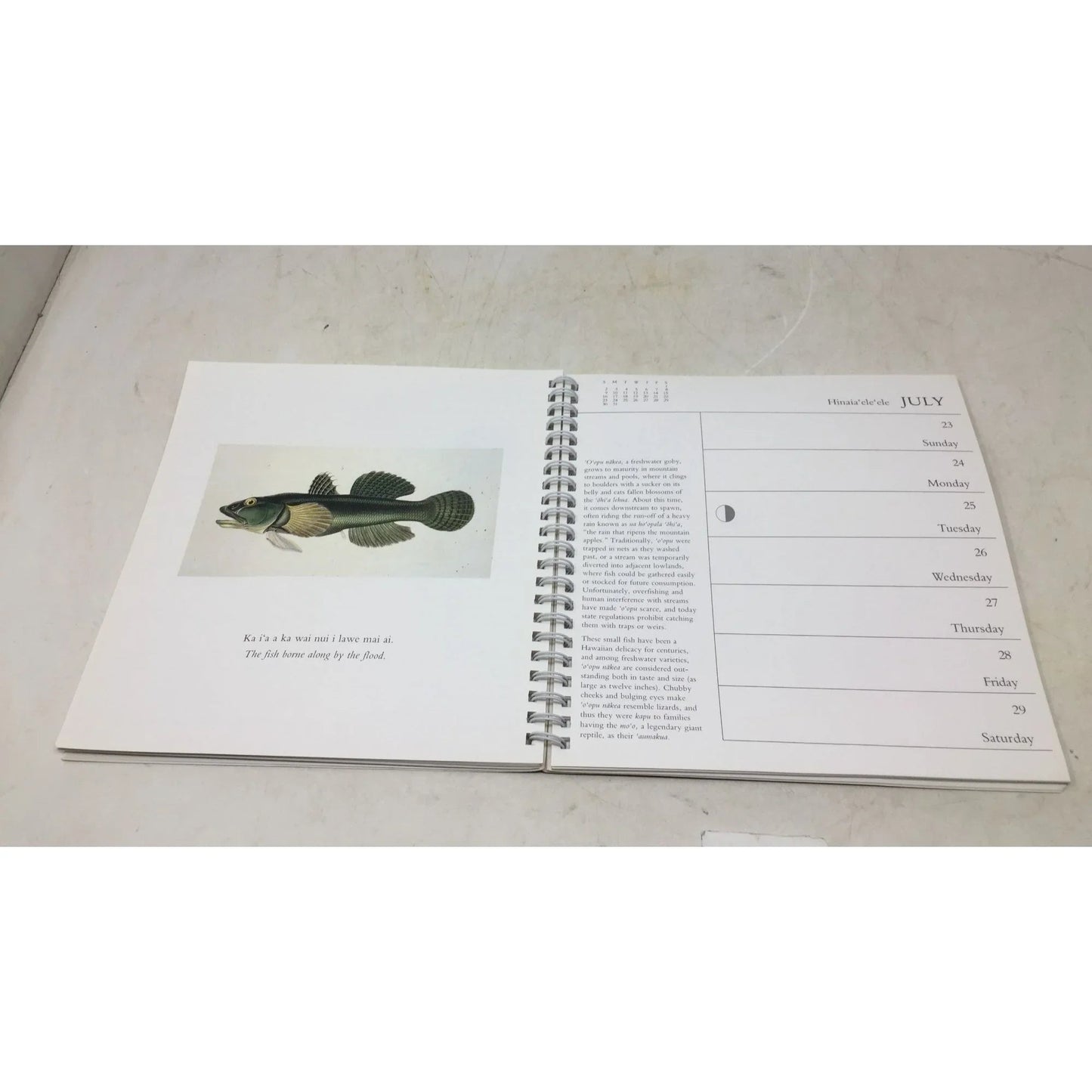 Hawaii: A Calendar of Natural Events from 1989 - A+ Stuff - Books - A+ Stuff