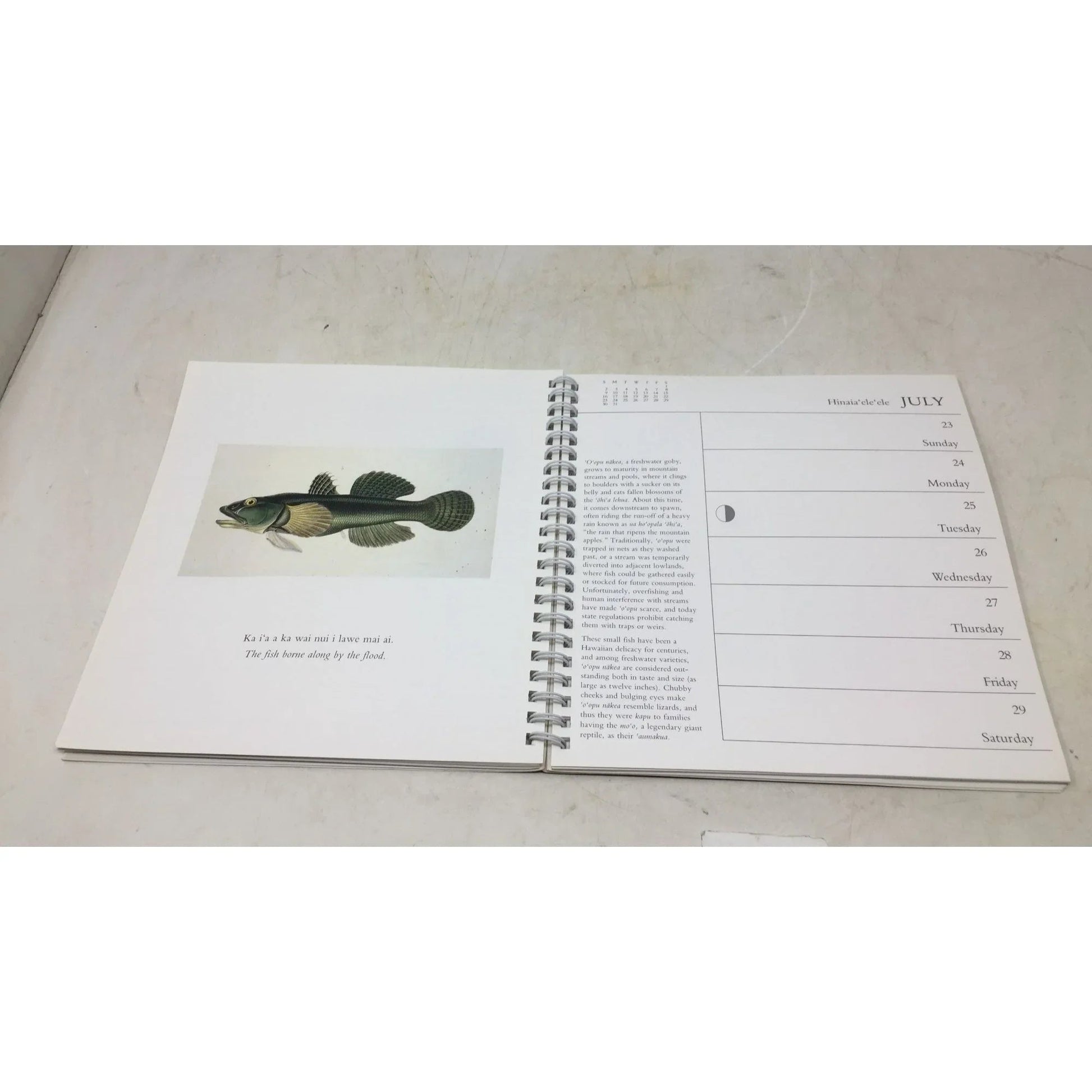 Hawaii: A Calendar of Natural Events from 1989 - A+ Stuff - Books - A+ Stuff