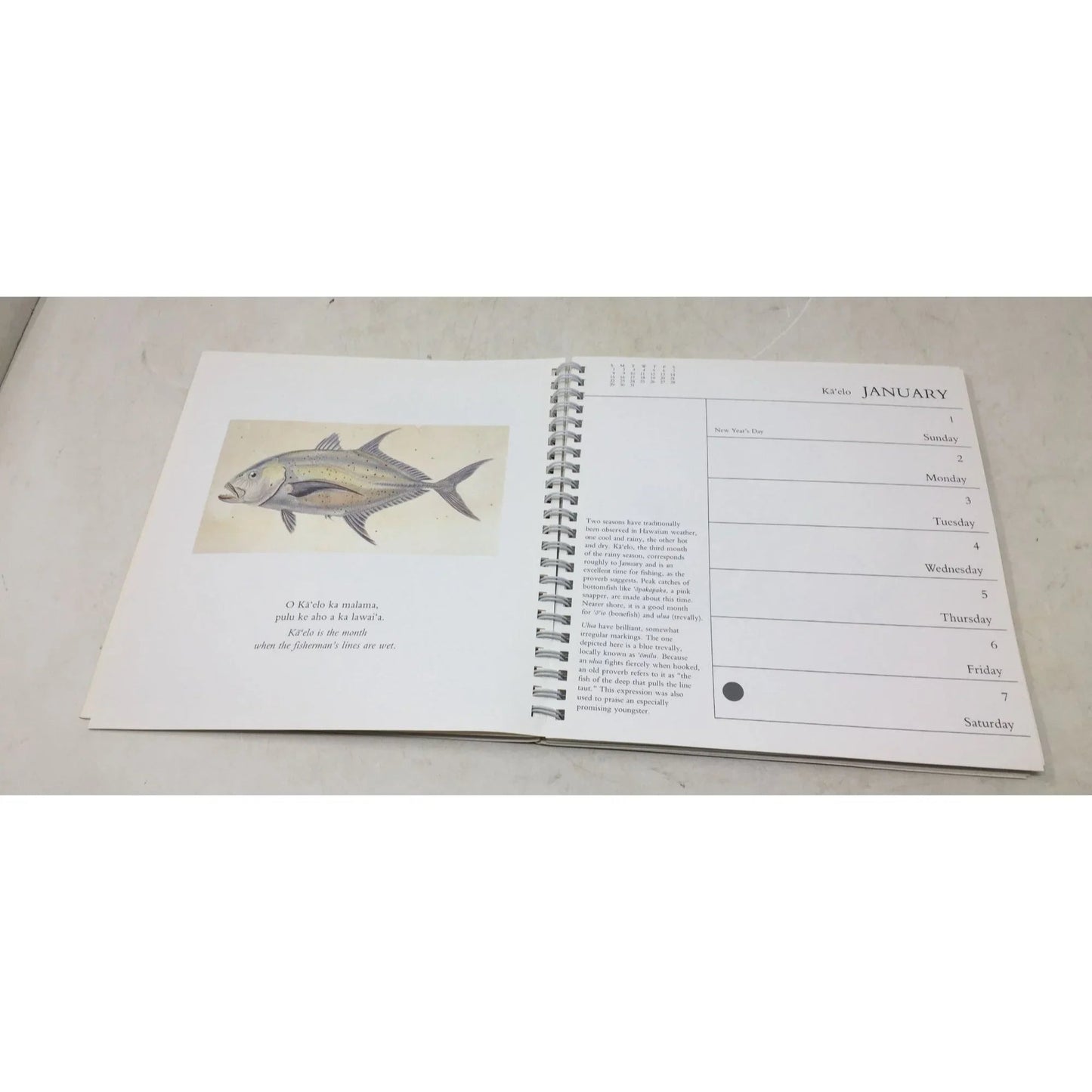 Hawaii: A Calendar of Natural Events from 1989 - A+ Stuff - Books - A+ Stuff