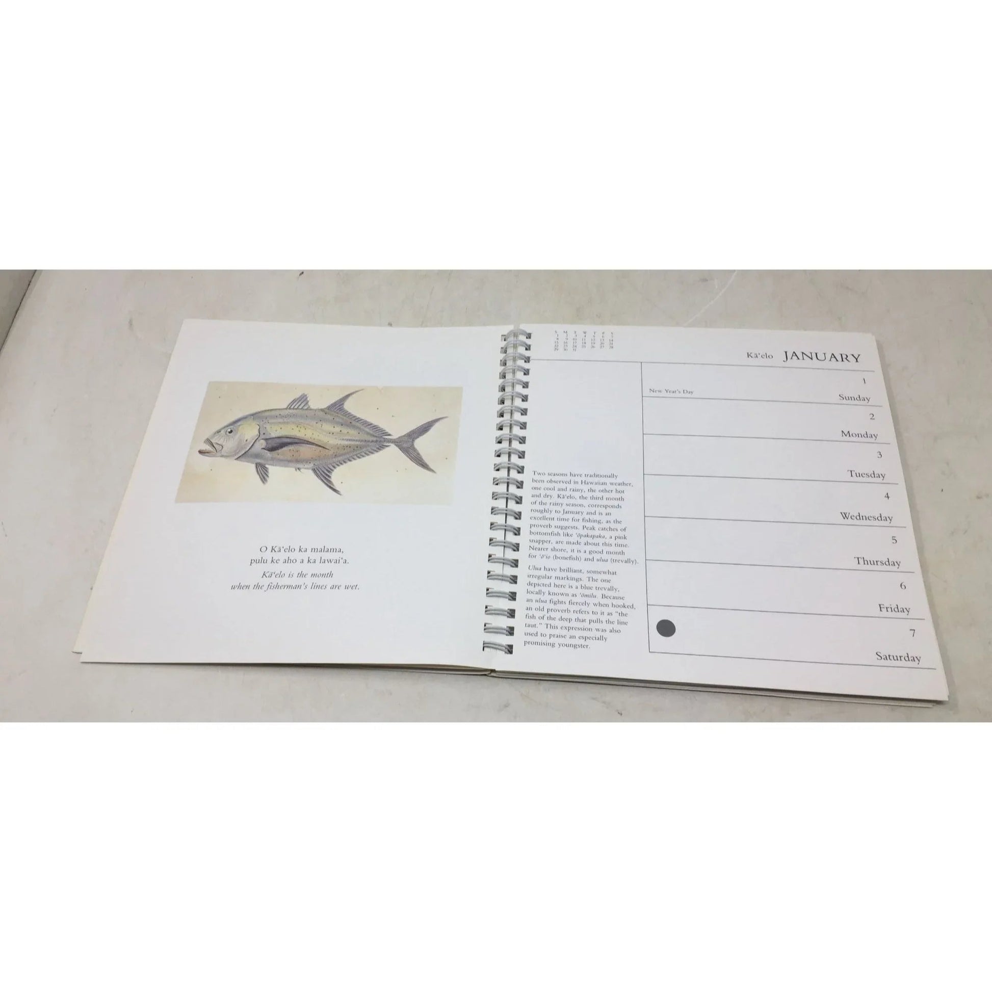 Hawaii: A Calendar of Natural Events from 1989 - A+ Stuff - Books - A+ Stuff