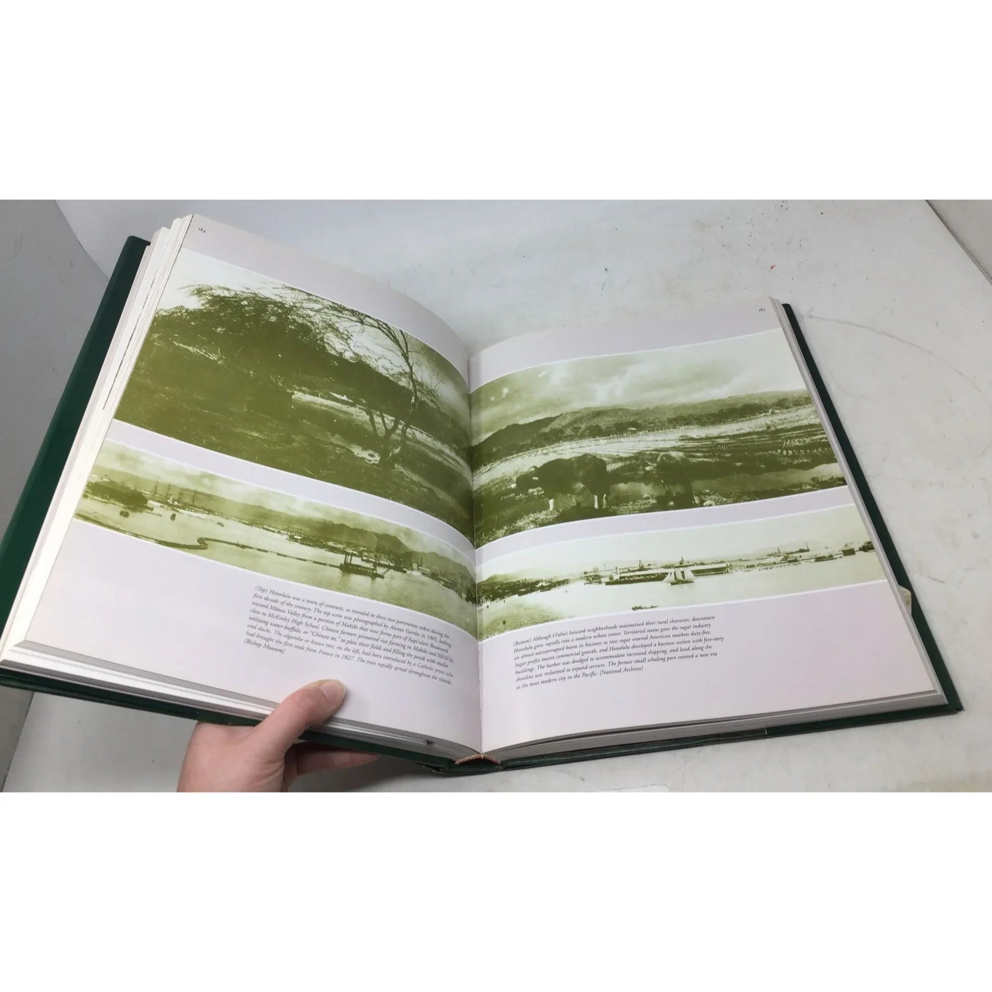 Hawaiʻi Looking Back: An Illustrated History of the Islands. - unbranded - Vintage Books - A+ Stuff