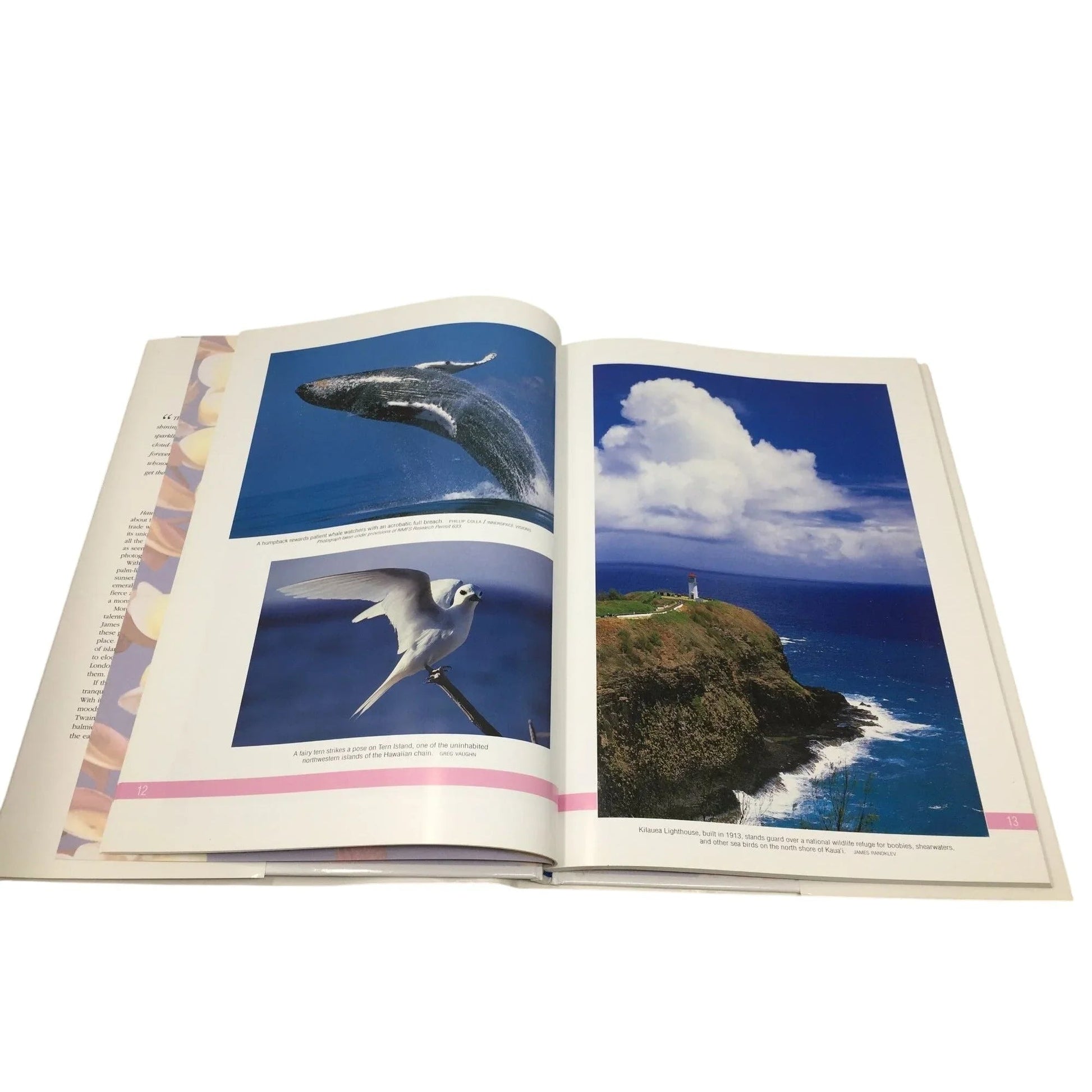 ''Hawai'i on My Mind - The best of Hawai'i in words and photographs'' - A+ Stuff - Books - A+ Stuff