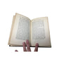 ''HAWAII PAST & PRESENT'' BY WILLIAM R CASTLE JR - A+ Stuff - books - A+ Stuff