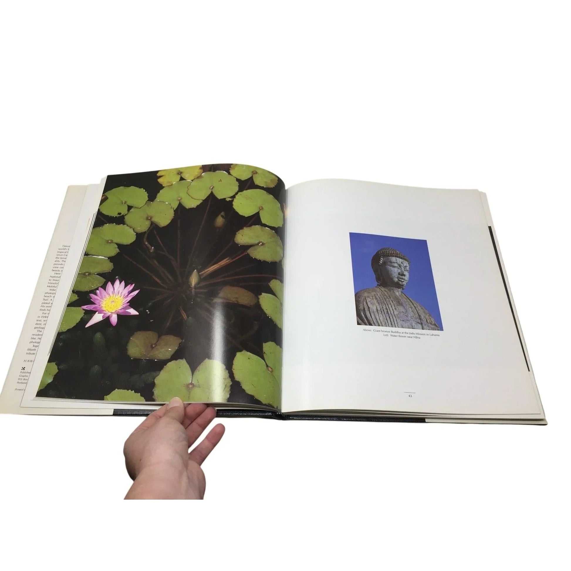 HAWAII Photography by Mike Sedam/Text by Suzan C. Hall - A+ Stuff - Books - A+ Stuff