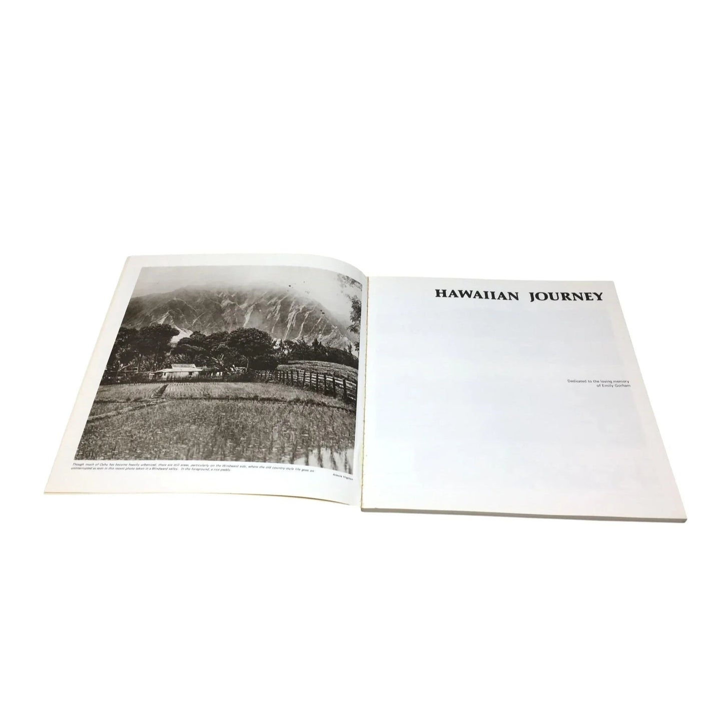 'Hawaiian Journey' by Joseph C. Mullins - unbranded - Antique Books - A+ Stuff