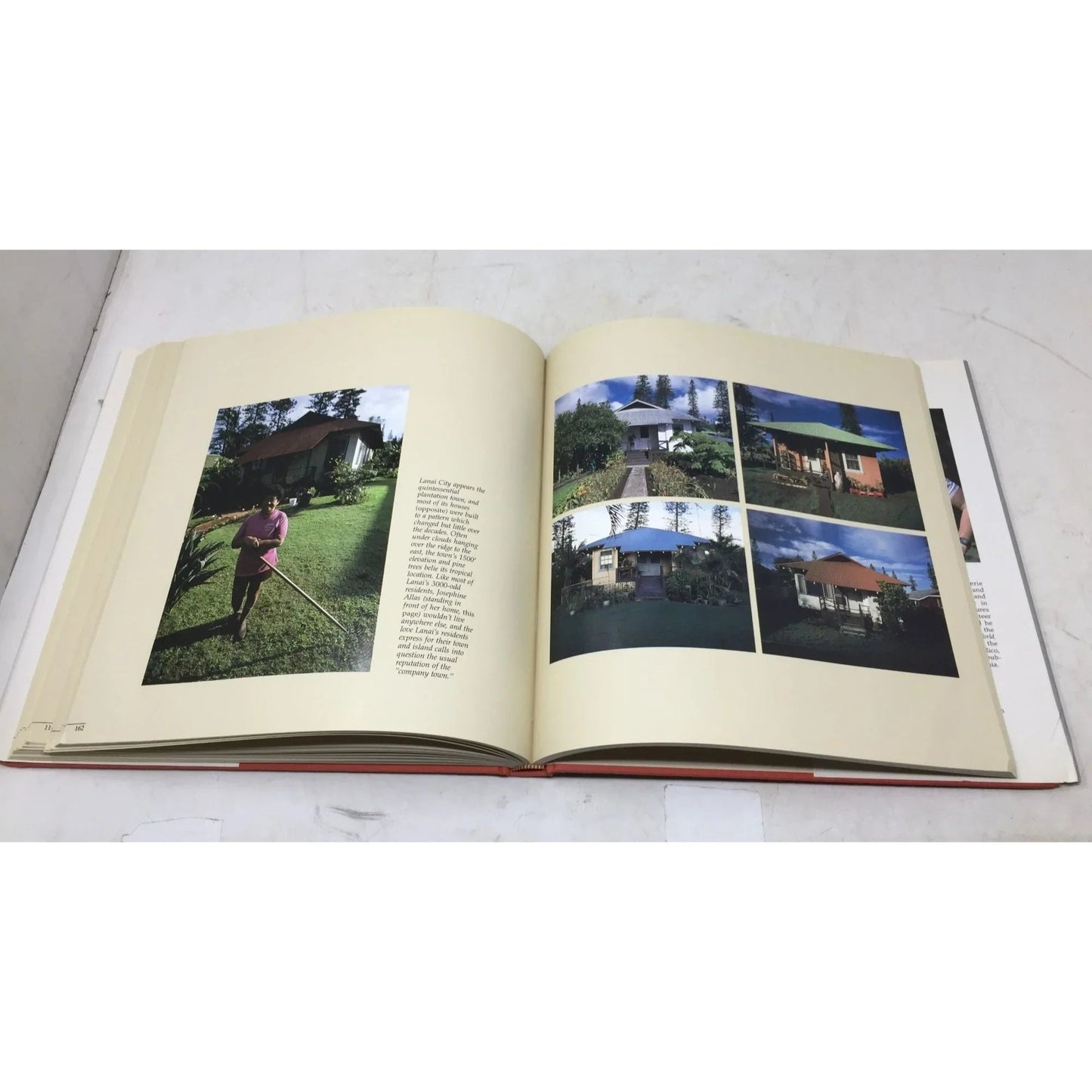 Hawaiian World, Hawaiian Heart by Roger A. LaBrucherie - A+ Stuff - books - A+ Stuff