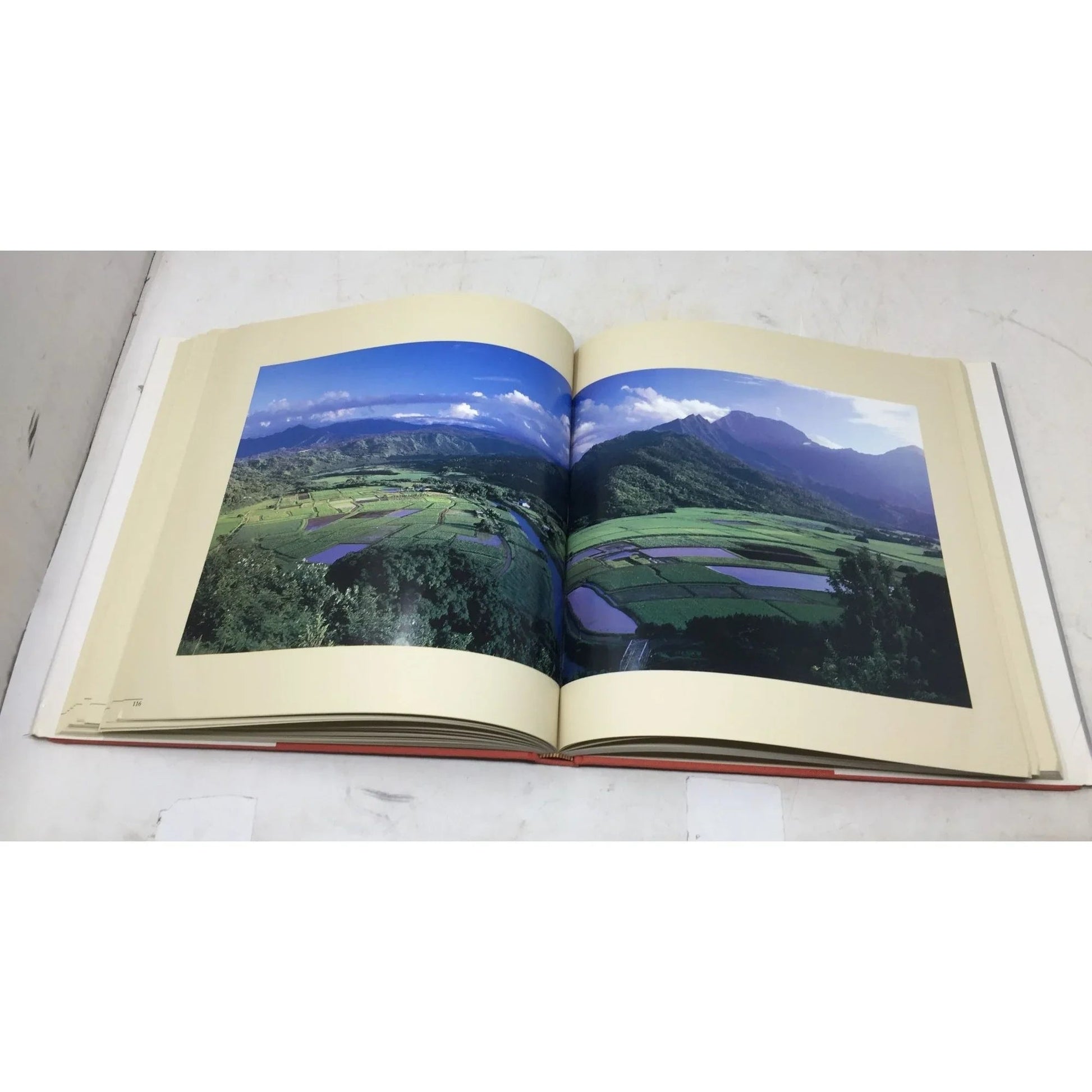 Hawaiian World, Hawaiian Heart by Roger A. LaBrucherie - A+ Stuff - books - A+ Stuff