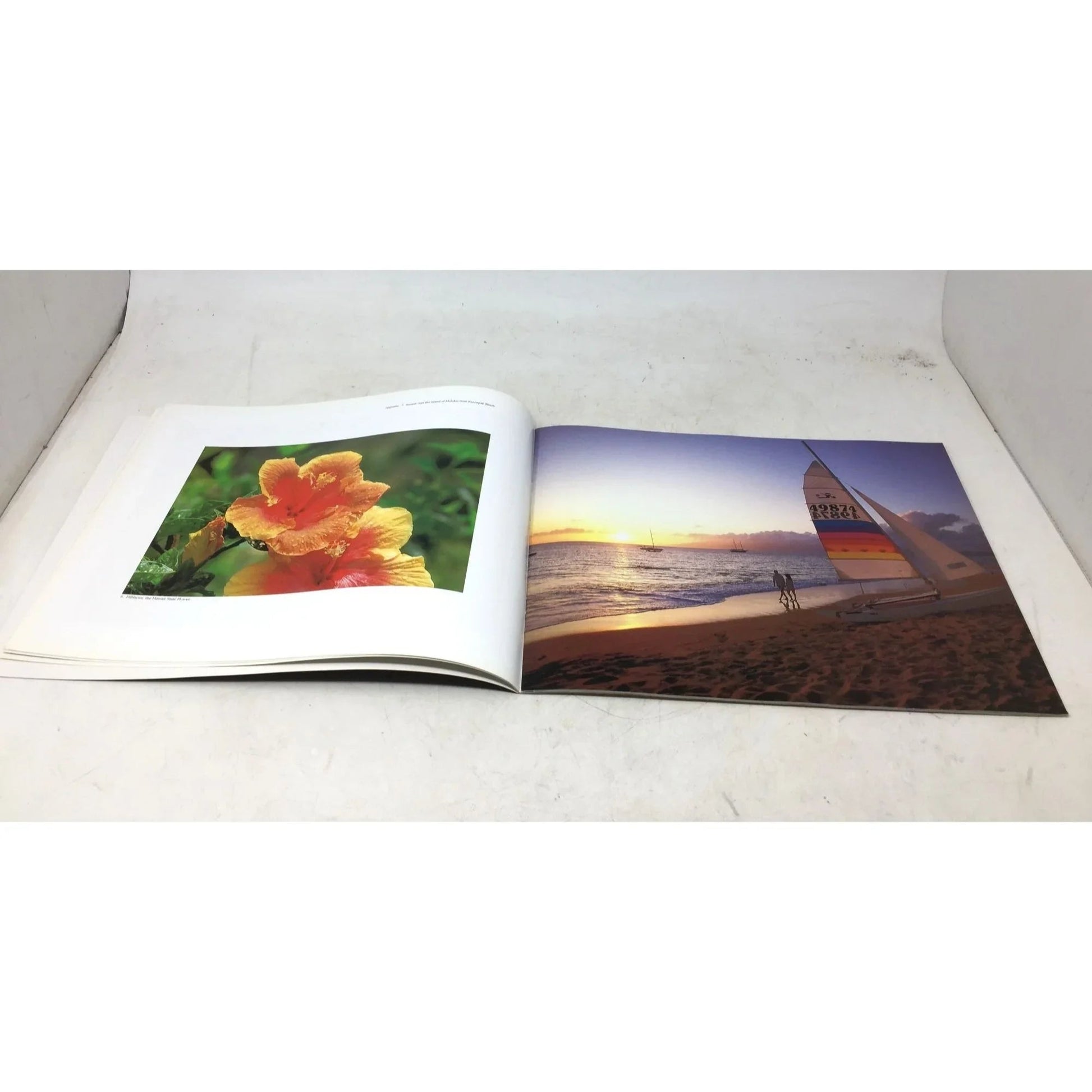 Hawaii's Beautiful Islands: The Island of Maui - unbranded - A+ Stuff