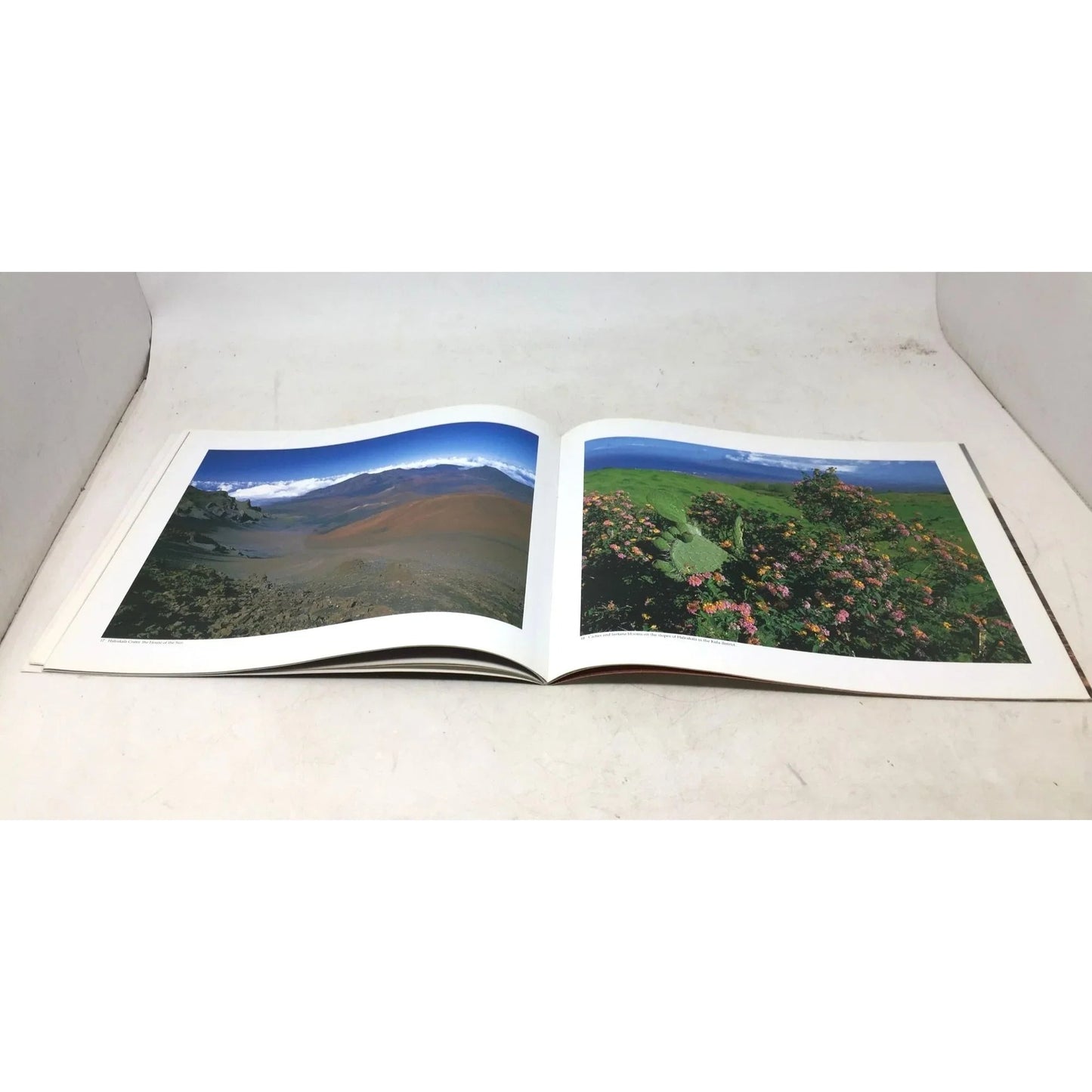 Hawaii's Beautiful Islands: The Island of Maui - unbranded - A+ Stuff