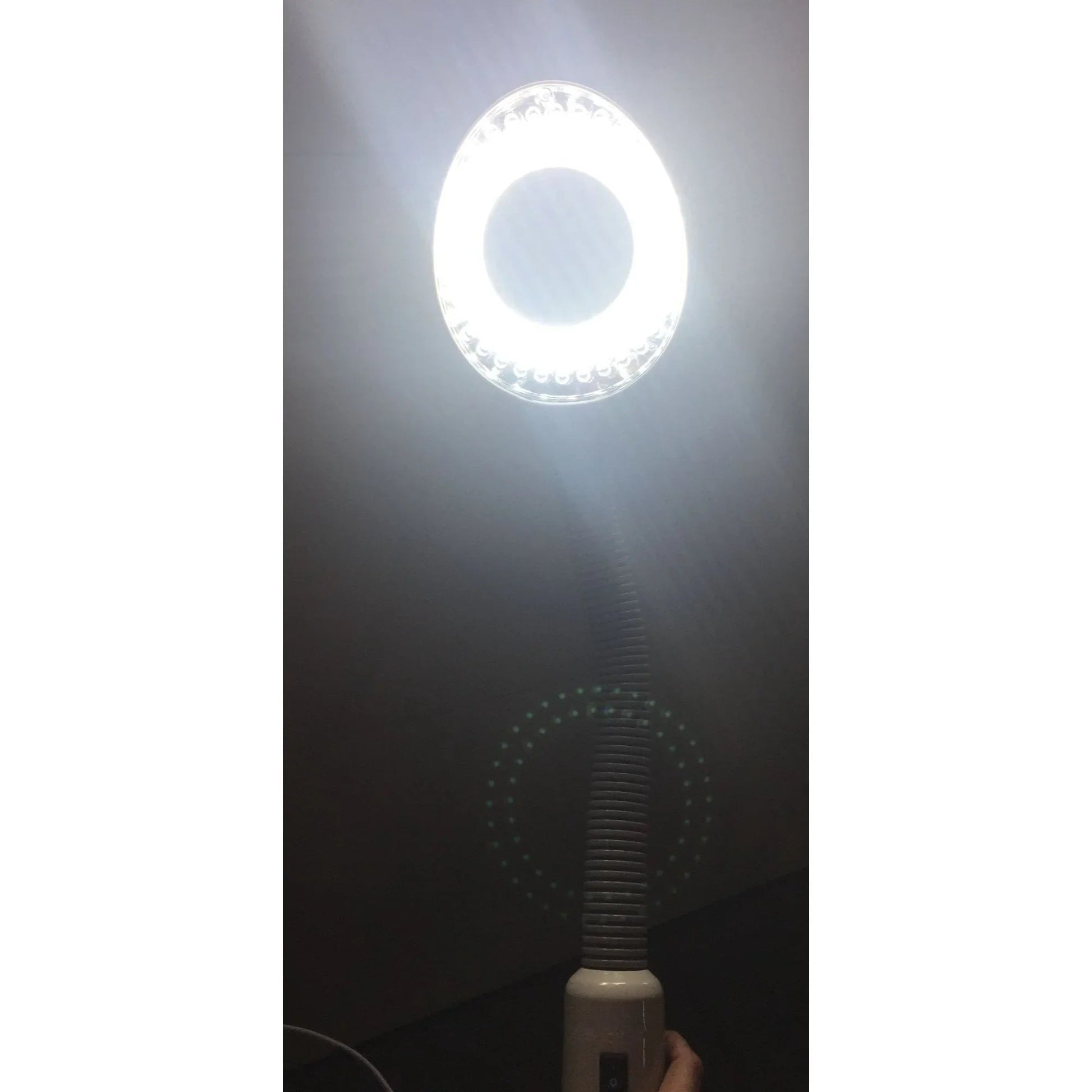 Home Garden Pro 2 in 1 Facial Steamer 5X Led Floor Magnifying Lamp - A+ Stuff - Face Care - A+ Stuff