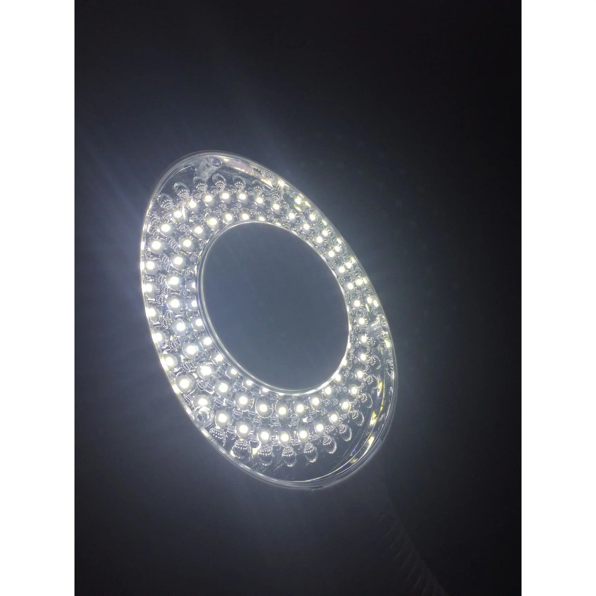 Home Garden Pro 2 in 1 Facial Steamer 5X Led Floor Magnifying Lamp - A+ Stuff - Face Care - A+ Stuff