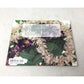 'Hula Heaven: The Queen's Album' by Mark A. Blackburn - unbranded - Books - A+ Stuff