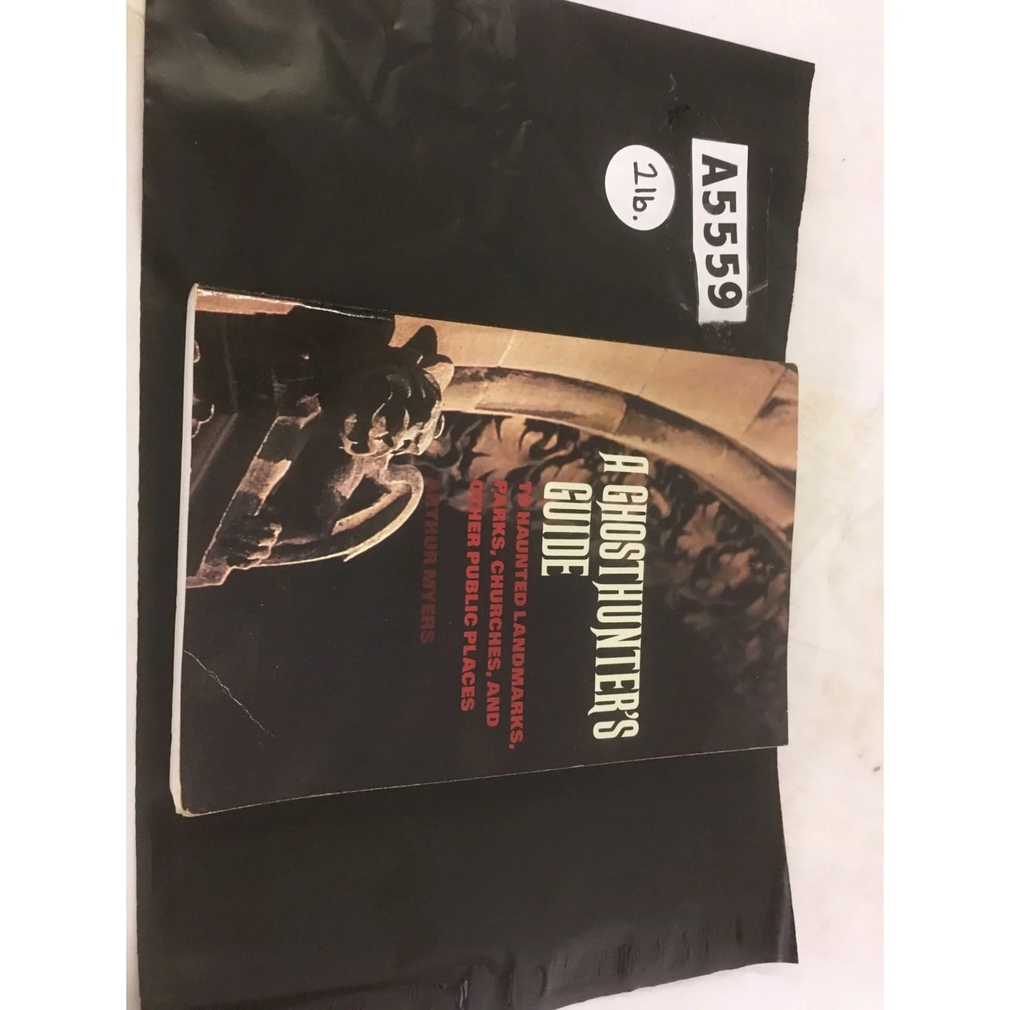 A Ghosthunter's Guide: To Haunted Landmarks, Parks, Churches, and Other Public Places - A+ Stuff