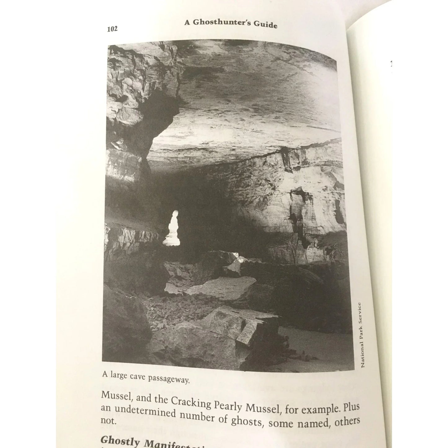 A Ghosthunter's Guide: To Haunted Landmarks, Parks, Churches, and Other Public Places - A+ Stuff