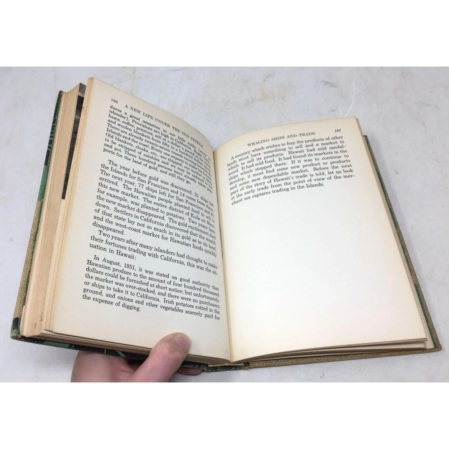 In Hawaii: A Hundred Years - unbranded - Antique Books - A+ Stuff