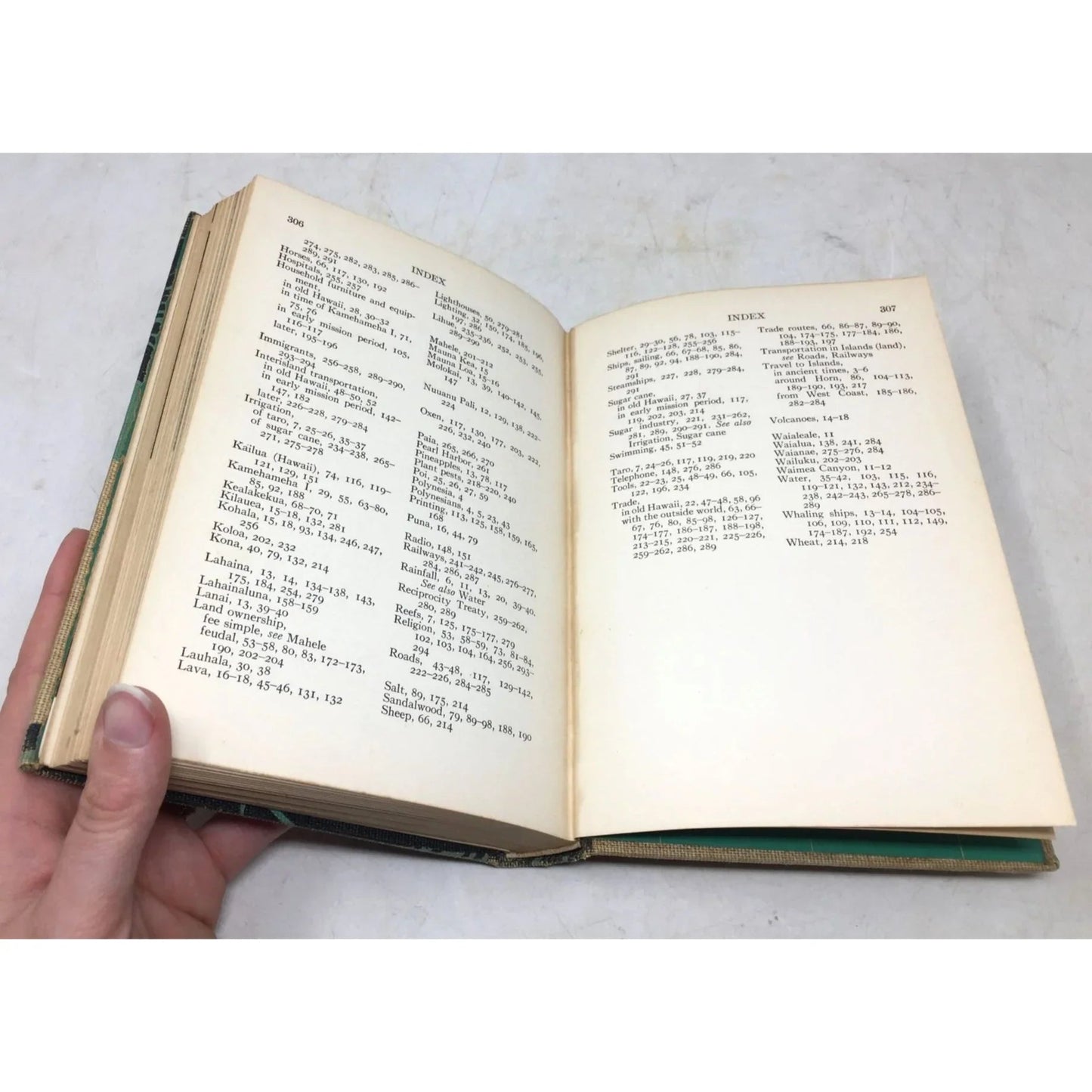 In Hawaii: A Hundred Years - unbranded - Antique Books - A+ Stuff