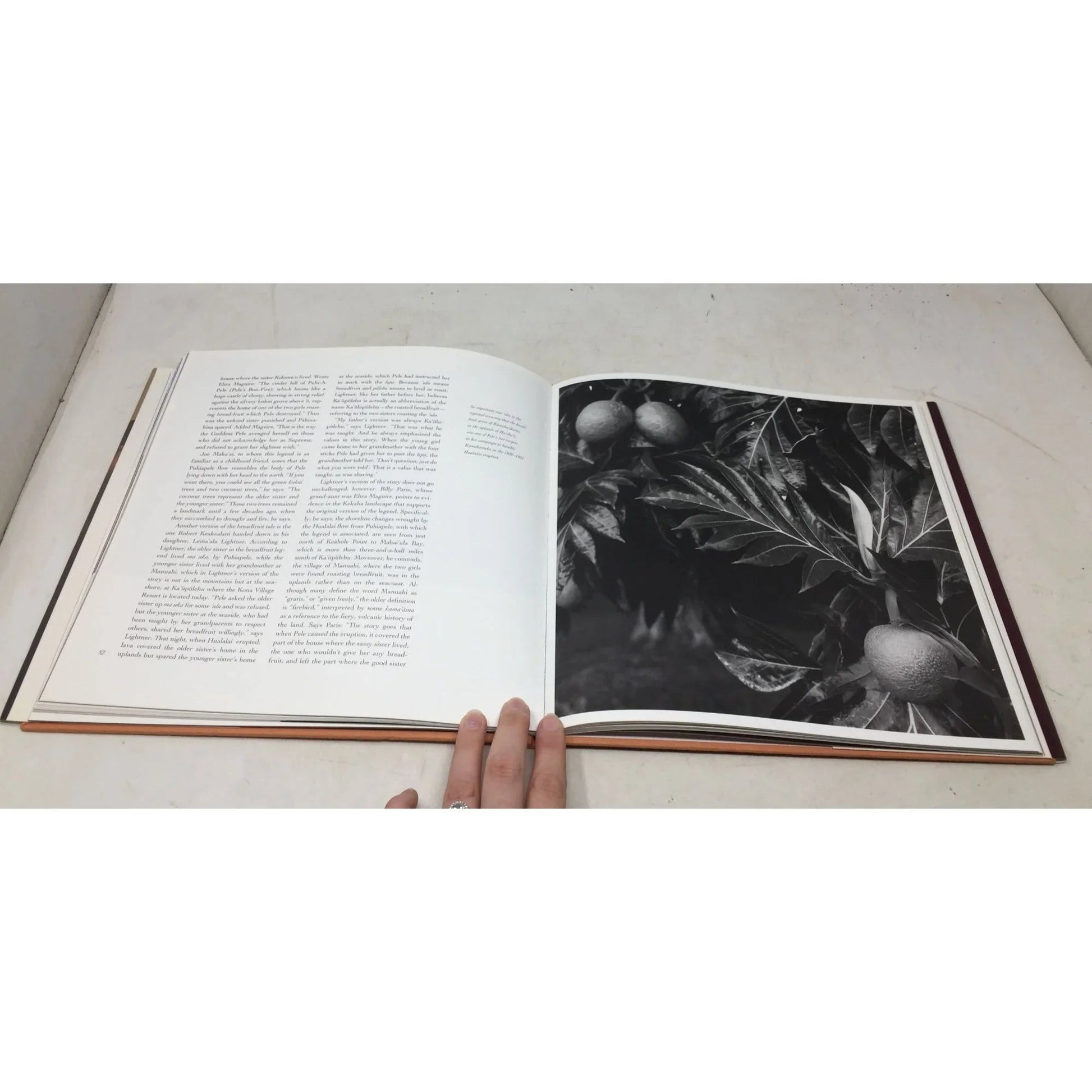 In the Lee of Hualalai: Historic Kaʻūpūlehu by Jocelyn K. Fujii - A+ Stuff - books - A+ Stuff