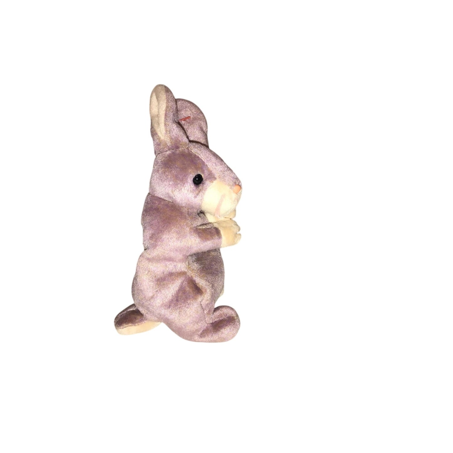 Springy the Bunny Beanie Baby from 2000 TY Beanie Baby  A+ Stuff Plush Toys / Stuffed Animals
