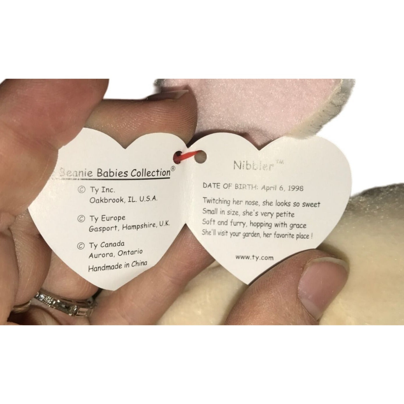 Vintage TY Beanie Baby Nibbler - Rabbit - 1999 - Gasport - no Canada A+ Stuff  A+ Stuff