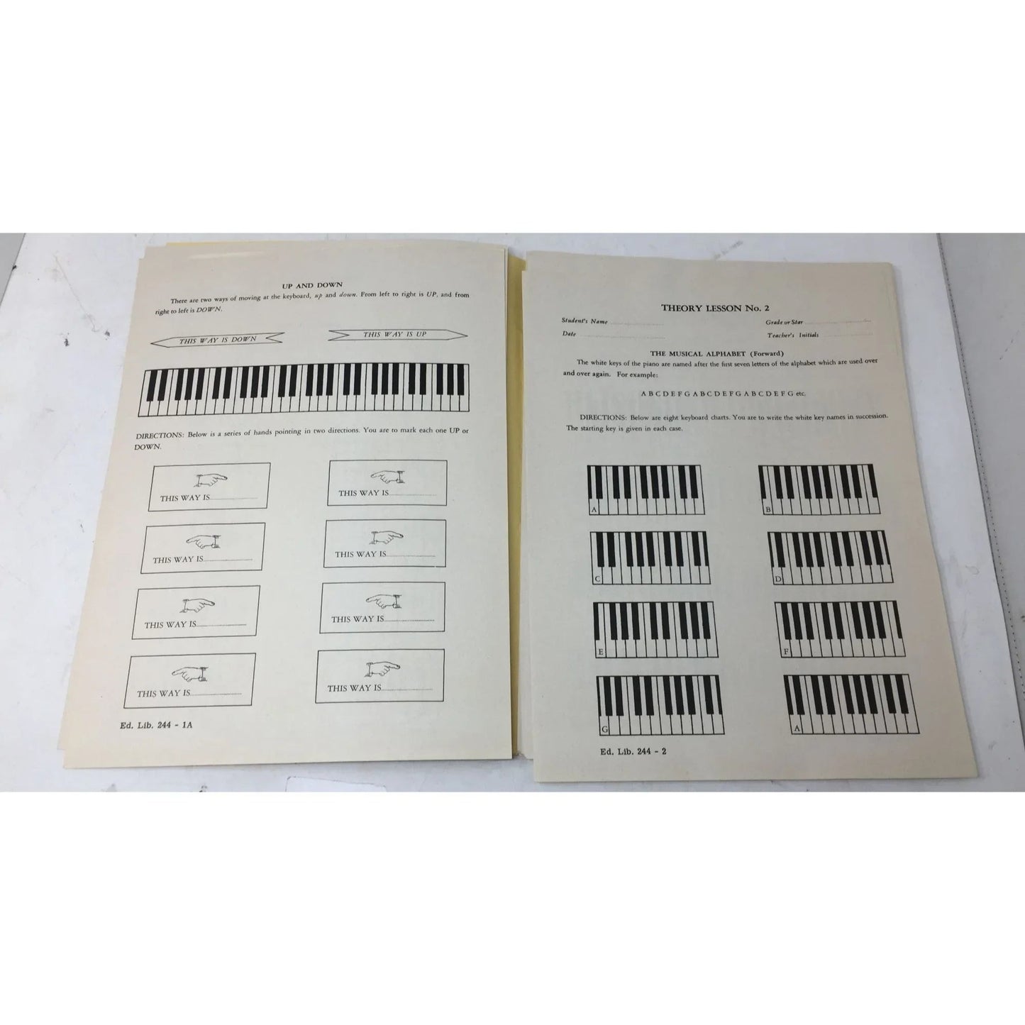 John W Schaum Theory Lessons in loose leaf form - A+ Stuff - Books - A+ Stuff